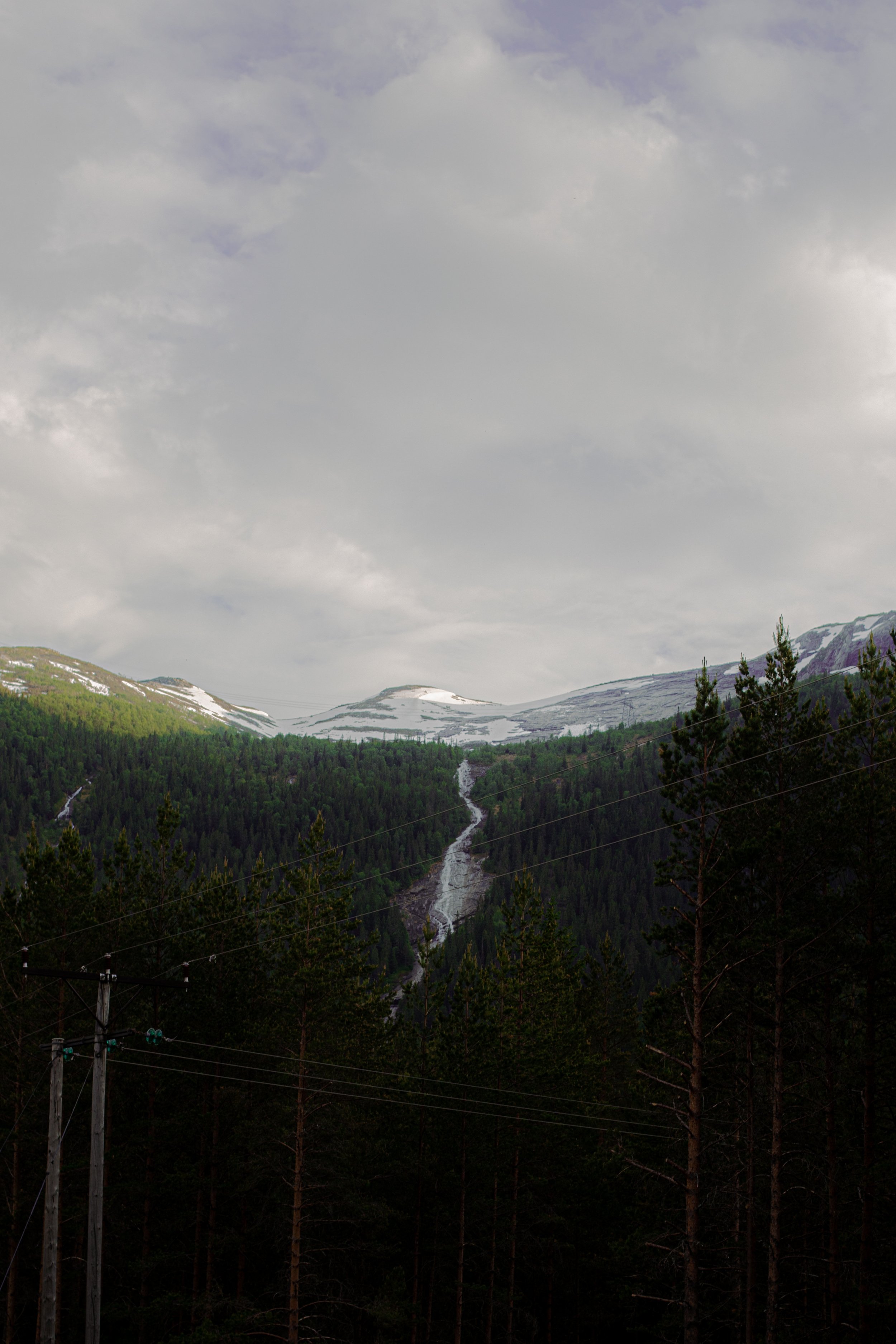 IMG_7183.jpg
