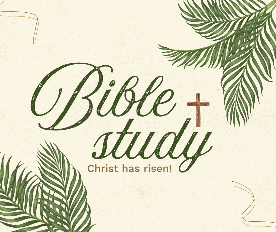 Bible Study