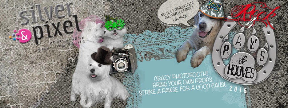 Te esperamos el domingo! See you in the Loco Photo Booth!