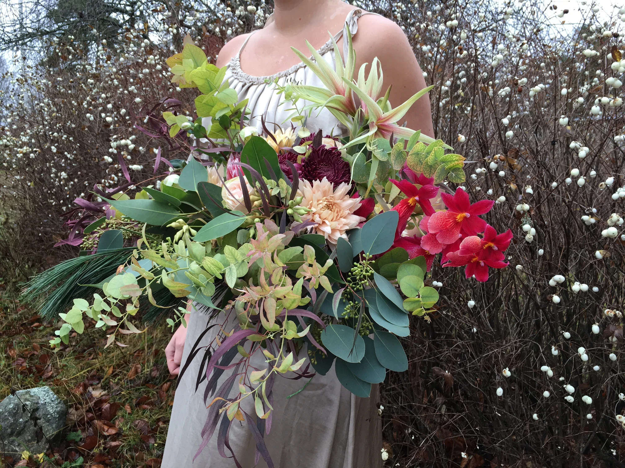 Amaryllis, o rkidé, krysantemum, olika sorters eukalyptus, gran