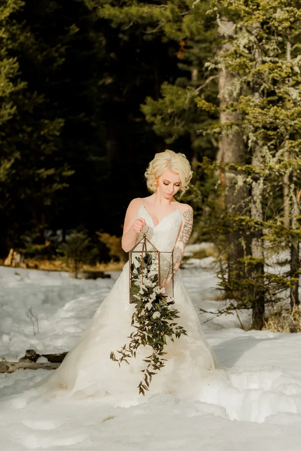 ElementsofLIghtPhotography_ElementsofLightMT28962_low.jpg
