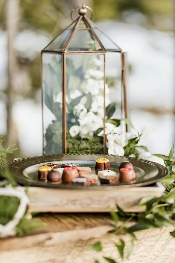 ElementsofLIghtPhotography_ElementsofLightMTwedding9745_low.jpg