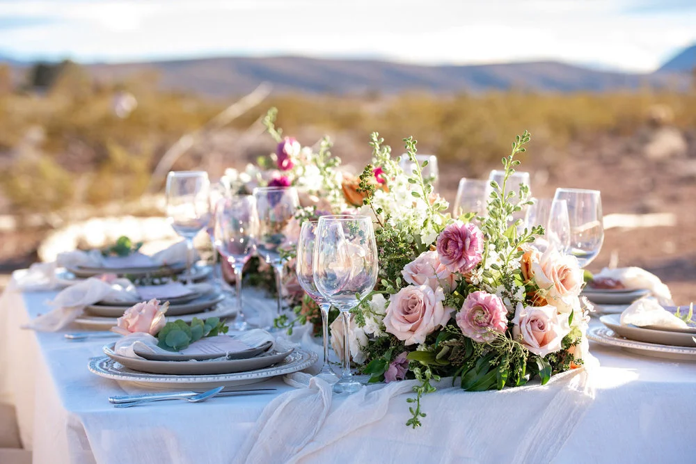 Photo: Suzanne Lytle Photography