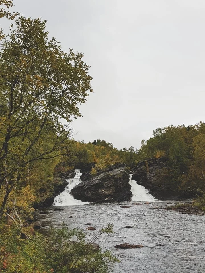 Ruttjebäcken