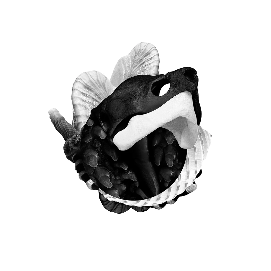 <font color=white><span style="text-transform:uppercase"><b>TO OUR MONUMENTS<br>•<br>MEDALLIONS</b><br>•<br>UNTITLED 12<br></font><font color="white"><label style="font-size:11px">(940 x 940mm)</font>