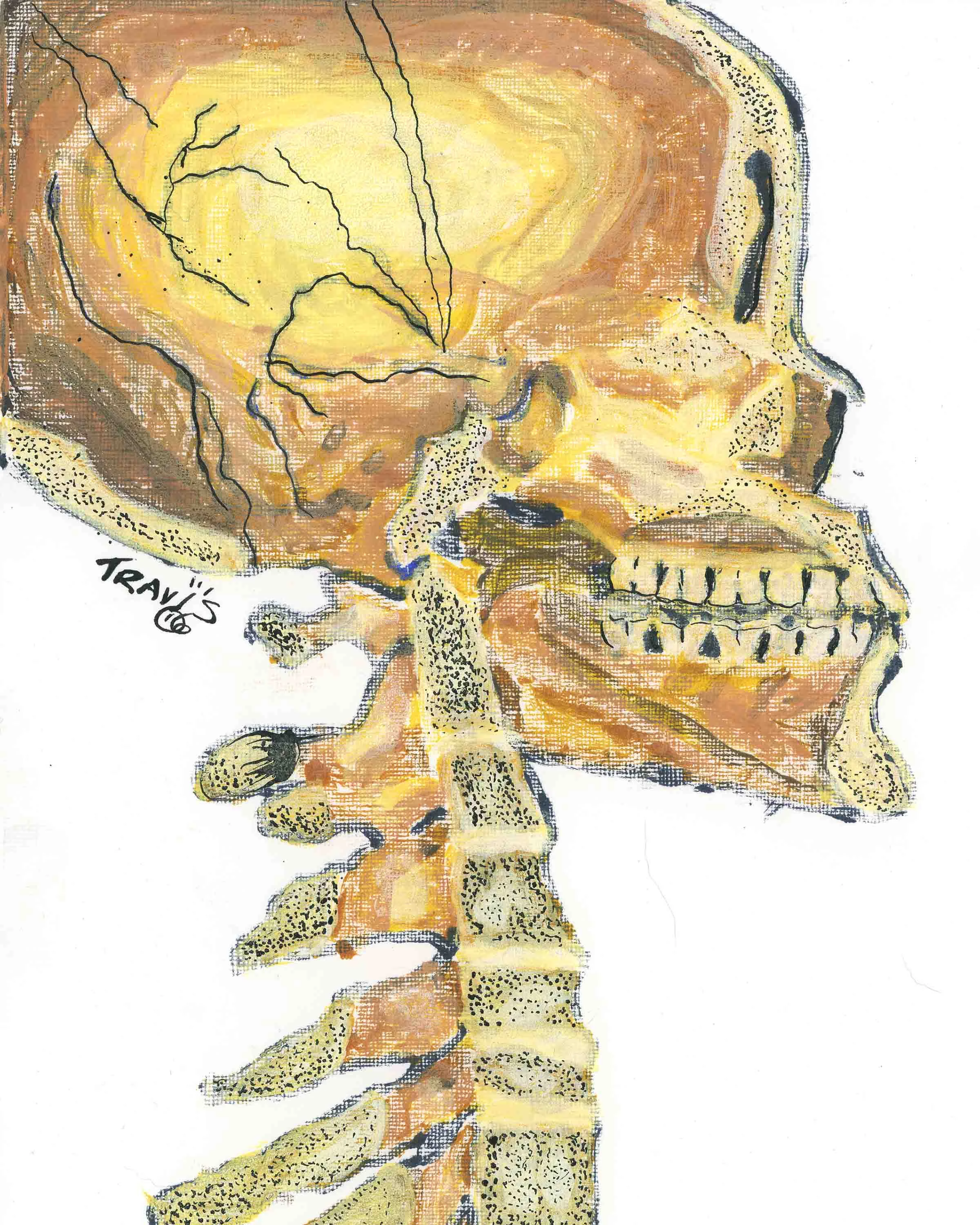 Untitled Skull 02 ~ 11x14in