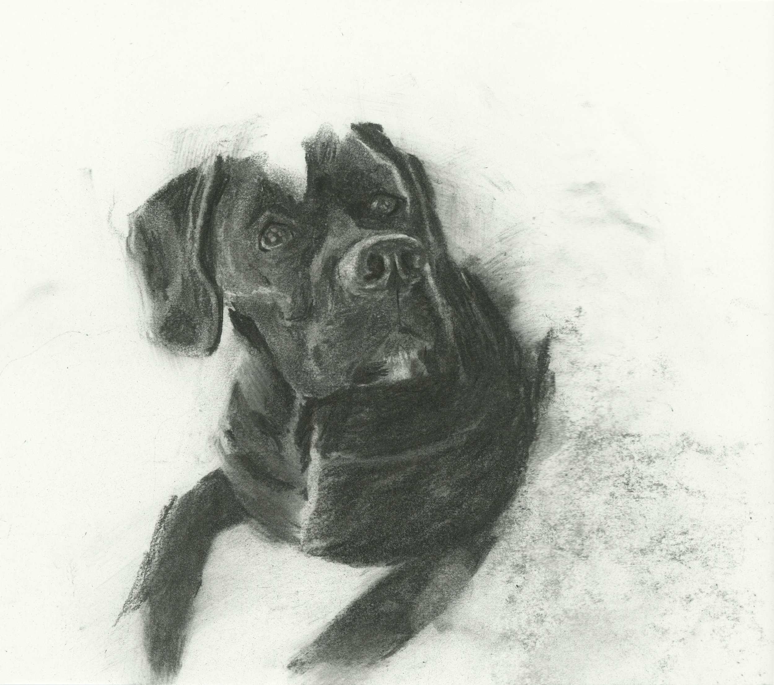 Bron - 11x14in