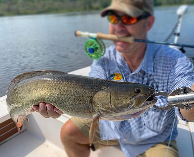Swamp Donkey.
•
•
•
#knotthereelworld #flyfishing #fishing #guide #guidelife #flyrod #flyfish #bowfin #swampdonkey #flyfishva #bowfinonthefly #swamp #donkey #netfishandchill #catchandrelease #getoutside #flyfishingaddict #flyfishingphotography