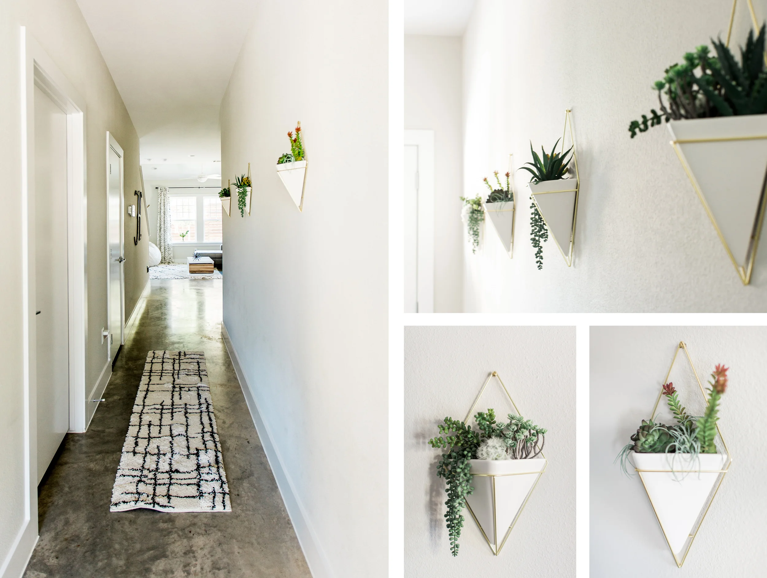 hallplants1.jpg