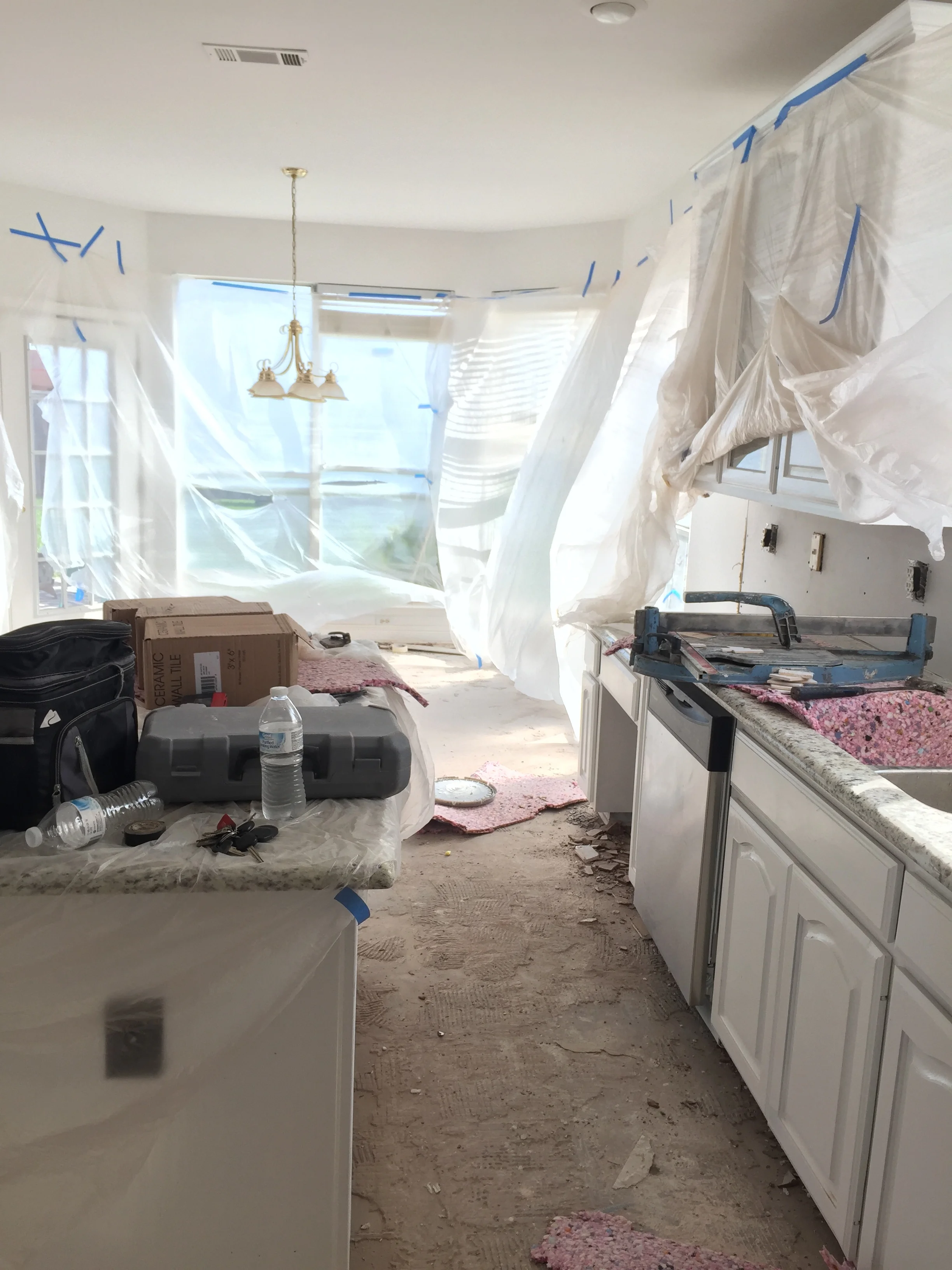 Mid-kitchen overhaul. Now THIS is my dream situation with two dogs and a toddler and working from home. Just.Kidding. We ate a lot of Spongebob microwave macaroni.
