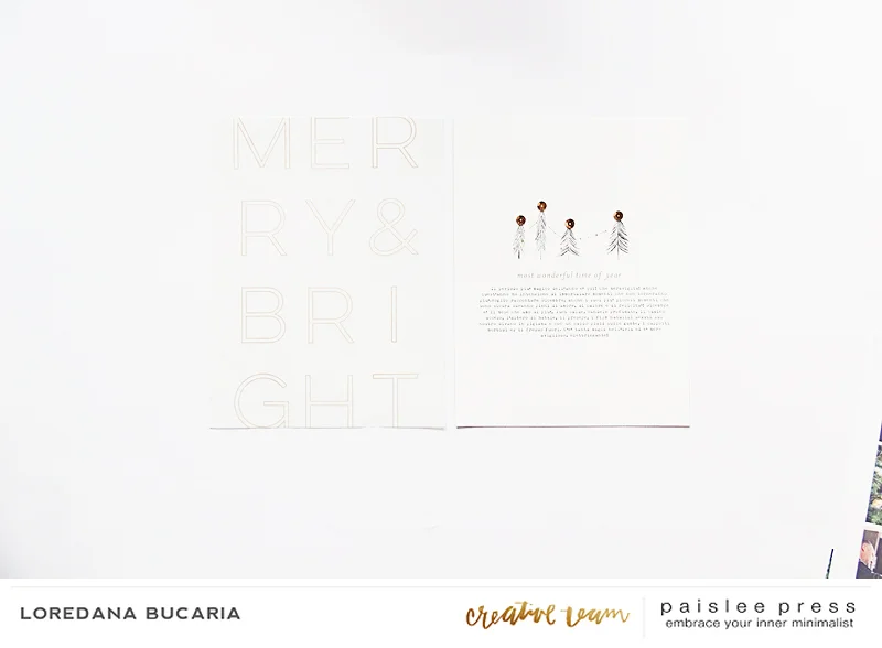 paislee_DecemberFave7_projectbyLoredanaBucaria_det7.jpg