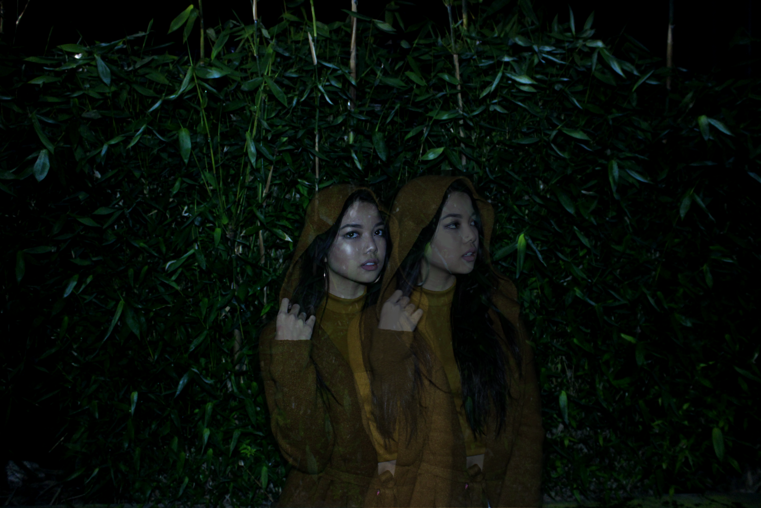 Isabel_Double_Exposed.png