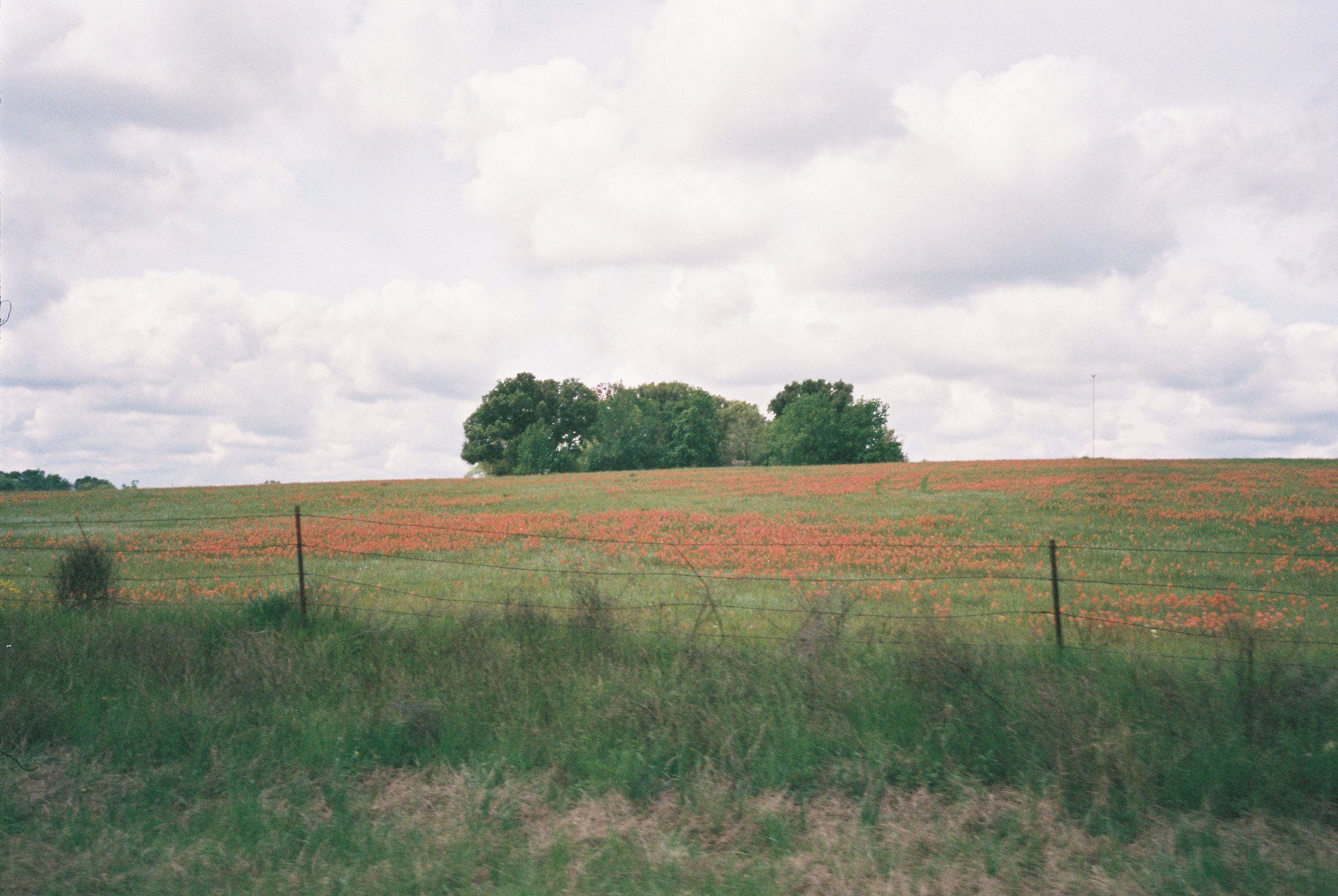 6530033811-r1-069-33.jpeg