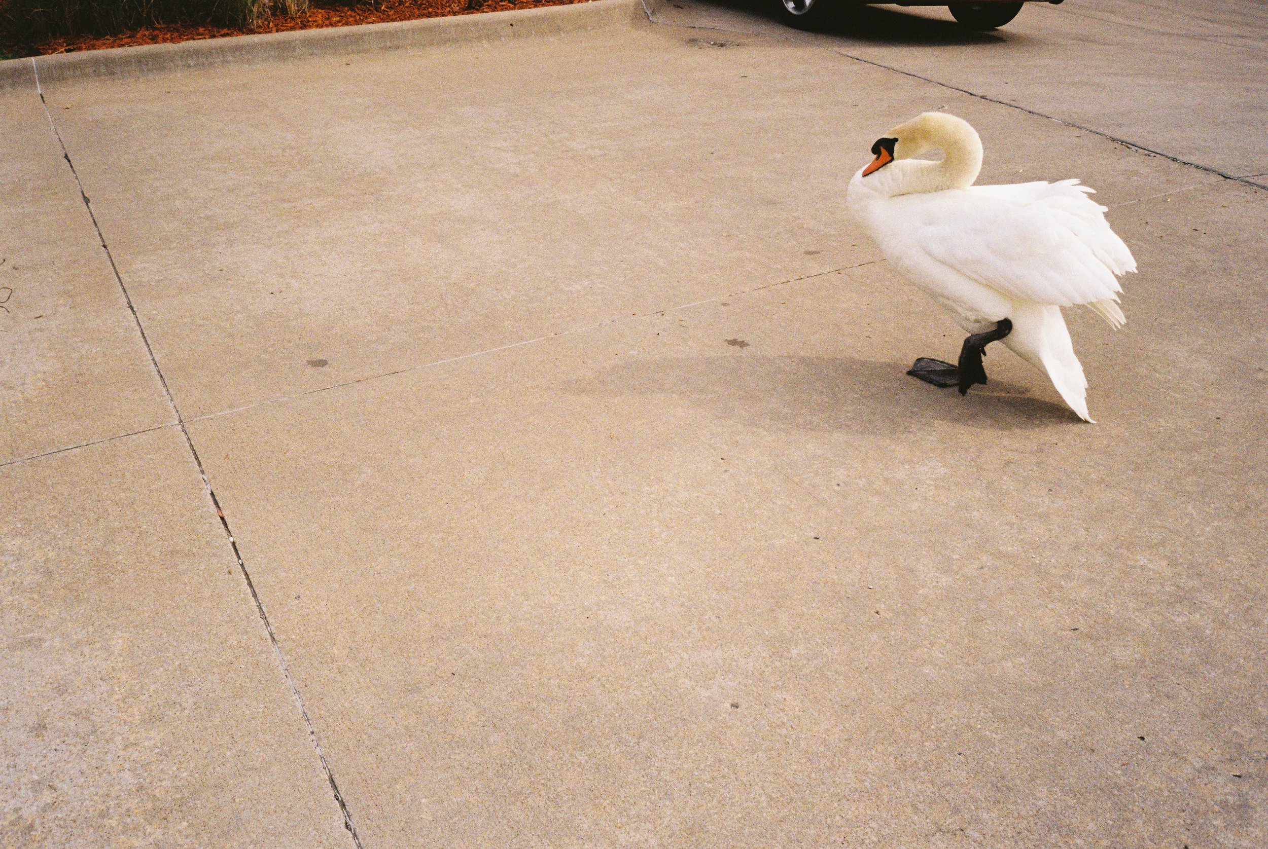 6532033815-r1-035-16.jpeg