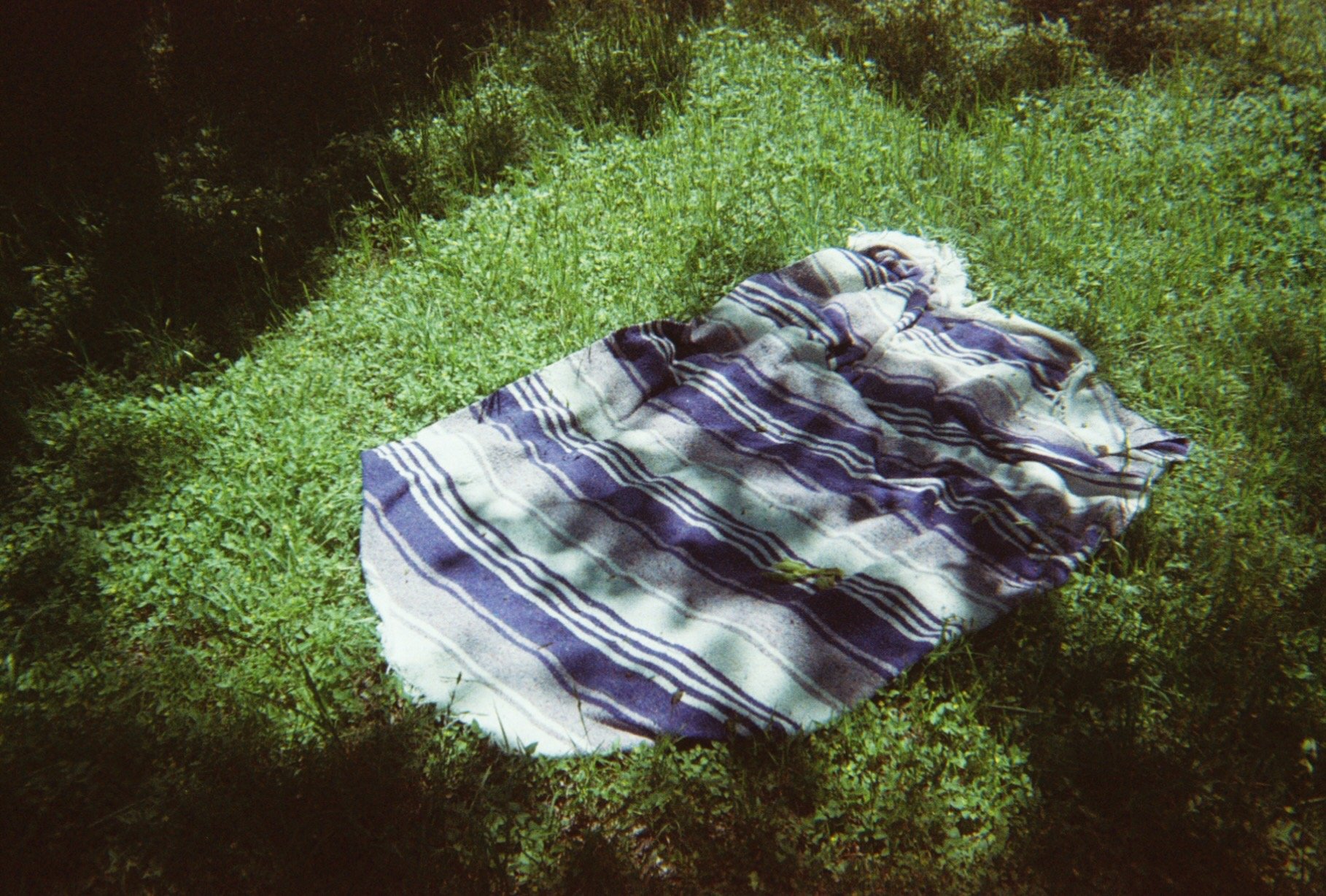 0006275_0006275-r1-e005.jpeg