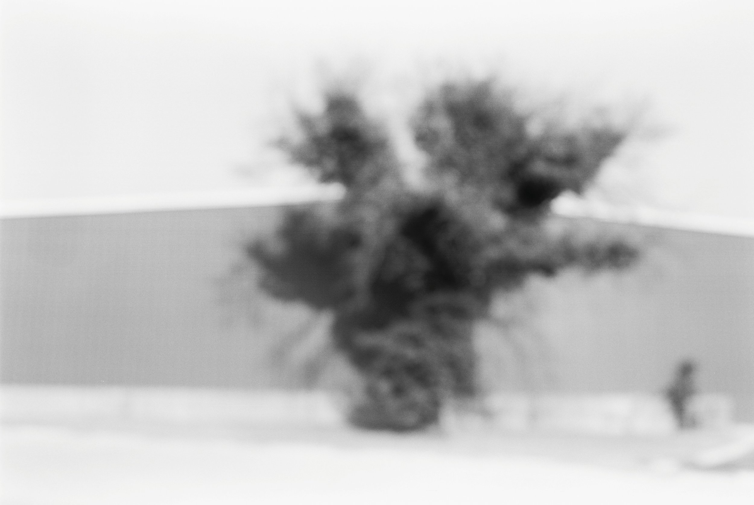 0009299_0009299-r1-e006.jpeg
