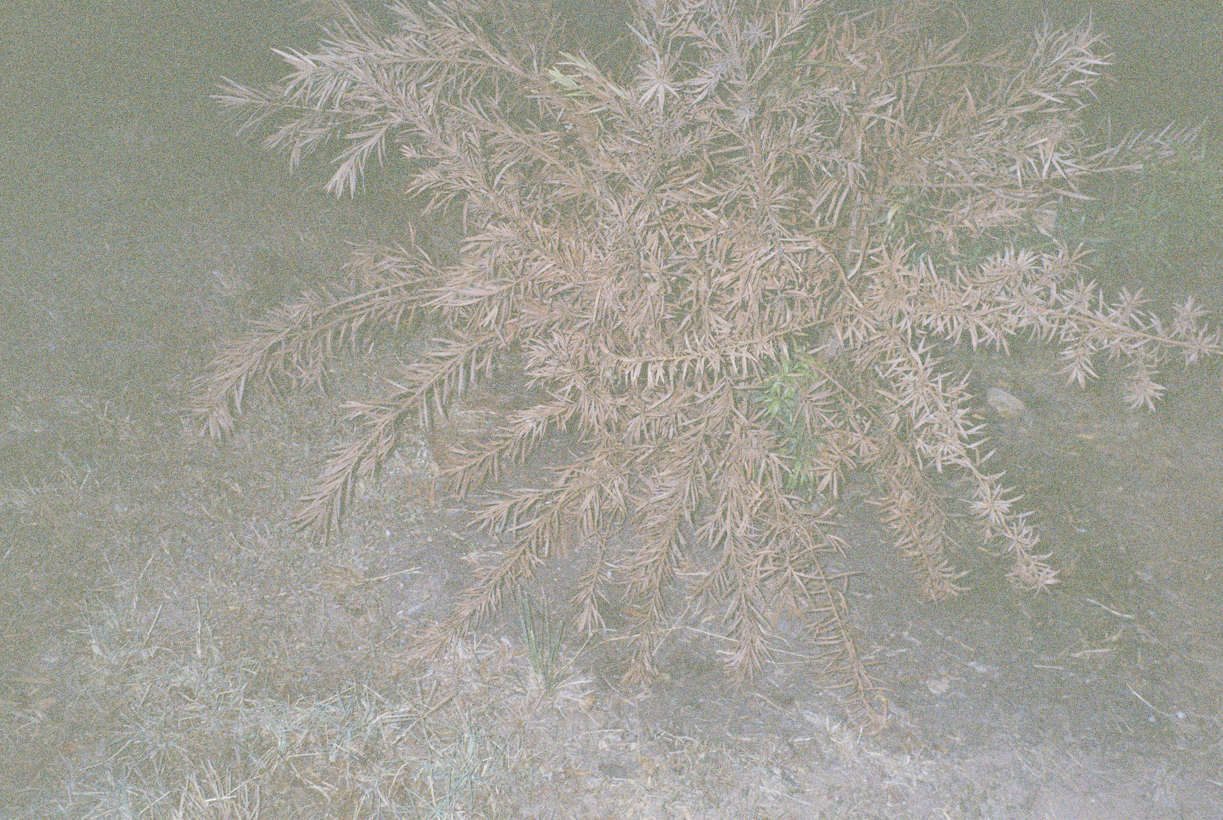 8867019756-r1-061-29.jpeg