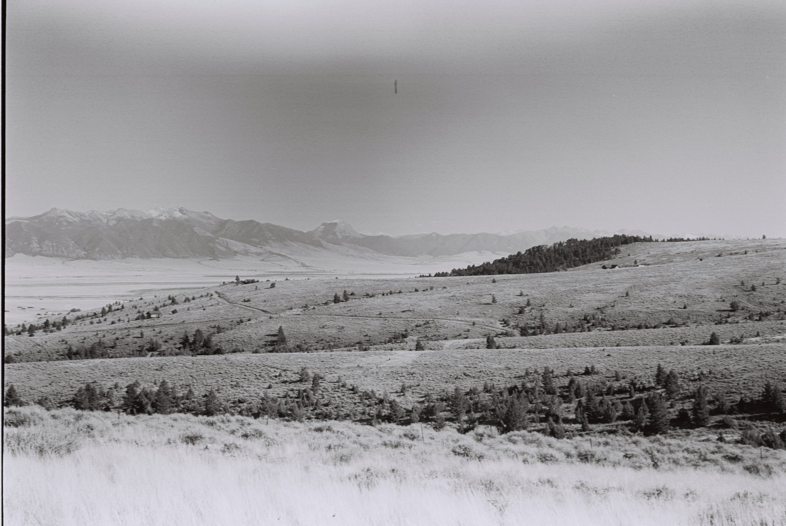 0002061_0002061-R1-E005.jpeg