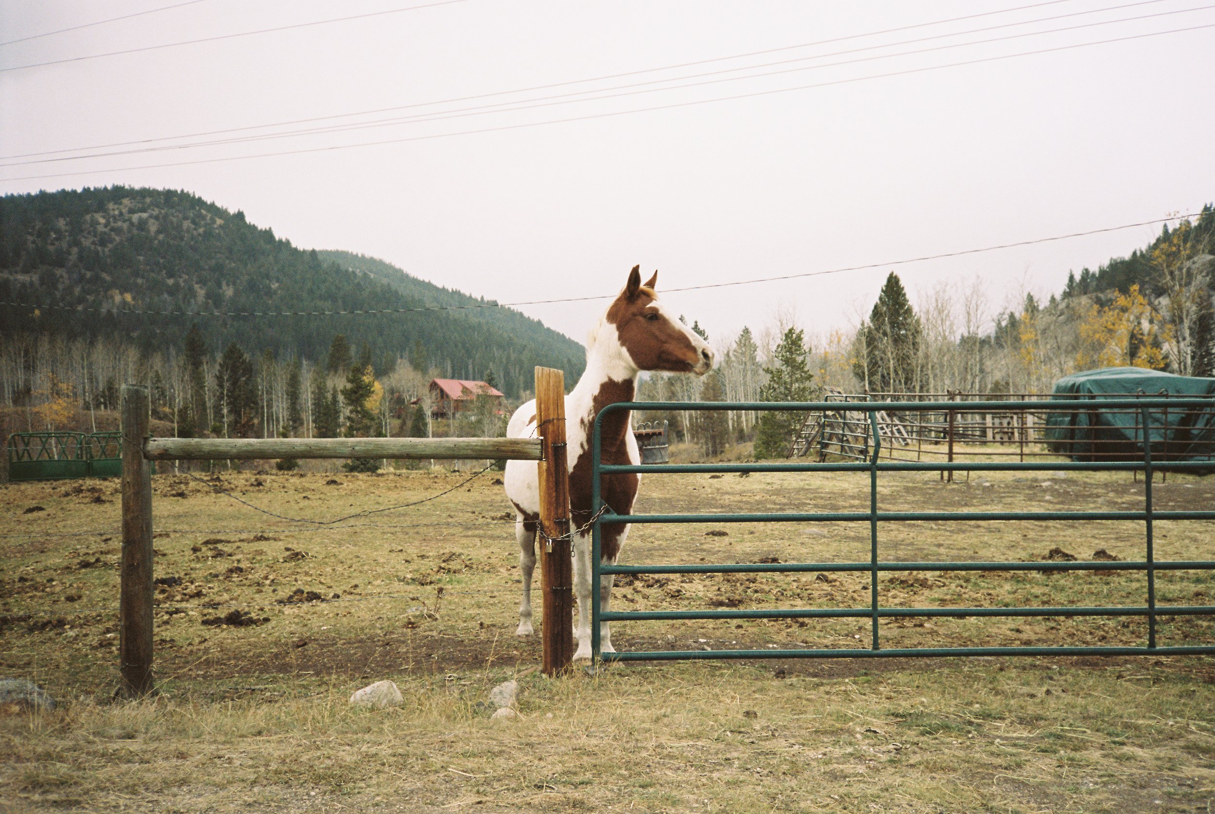 2031025340-R1-043-20.jpeg