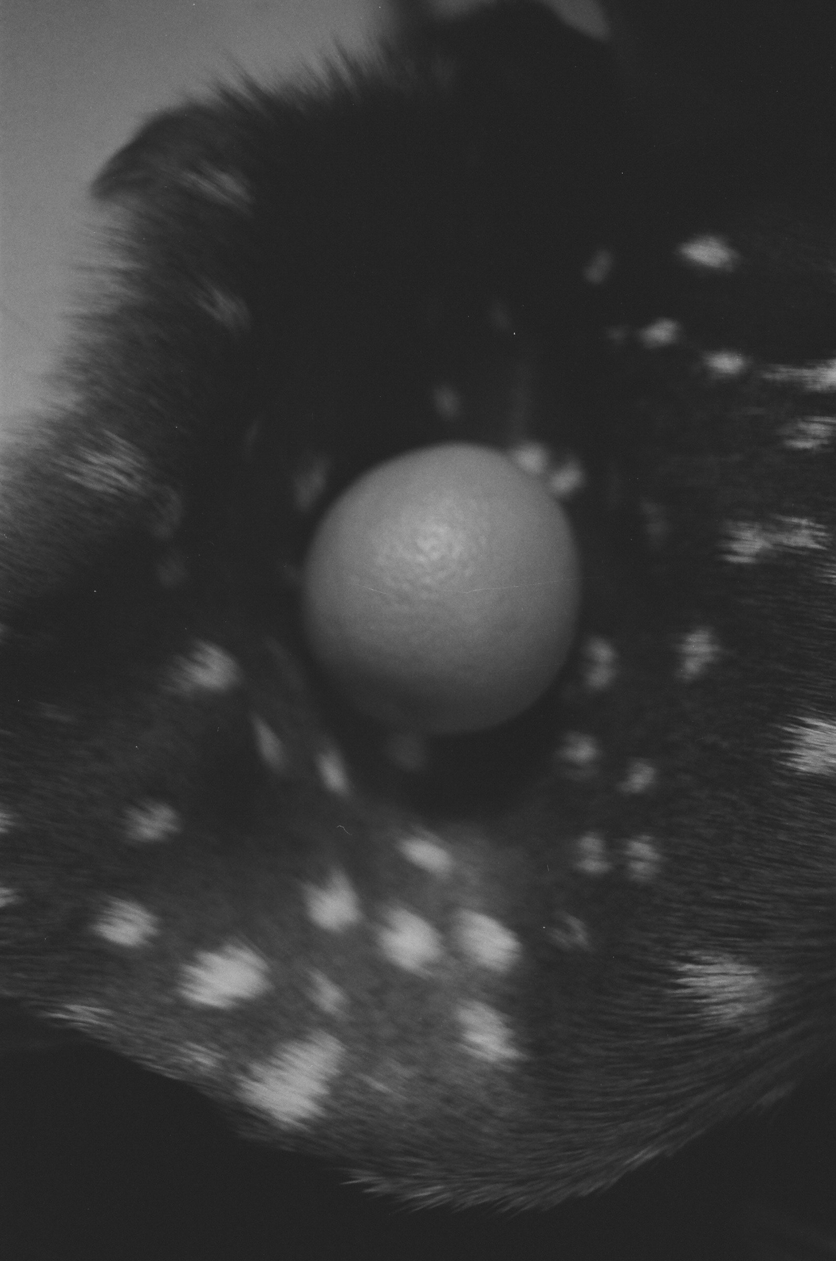 c7dc-de25-2577-a167.jpeg
