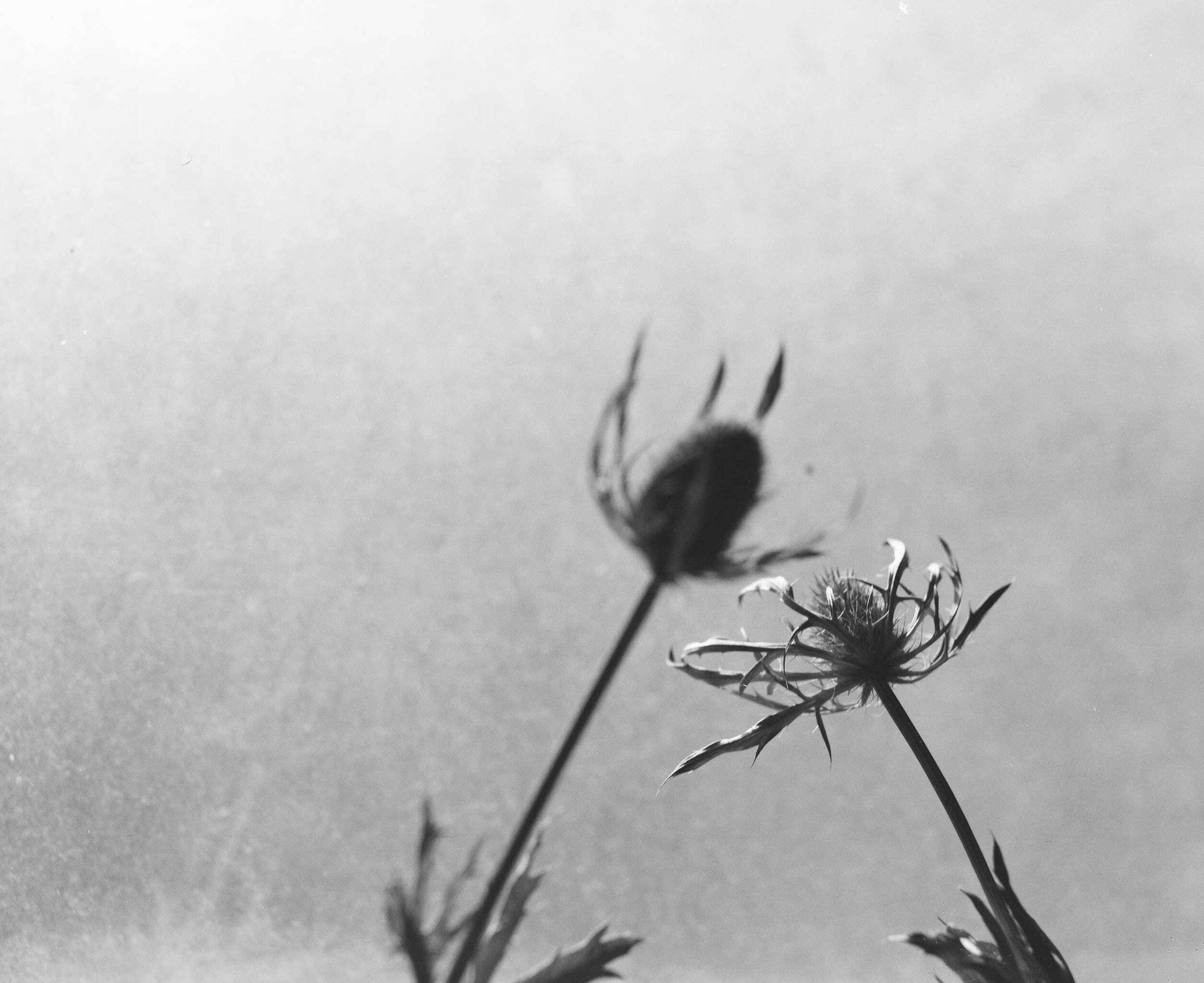 8786-d57d-8c5a-8920.jpeg