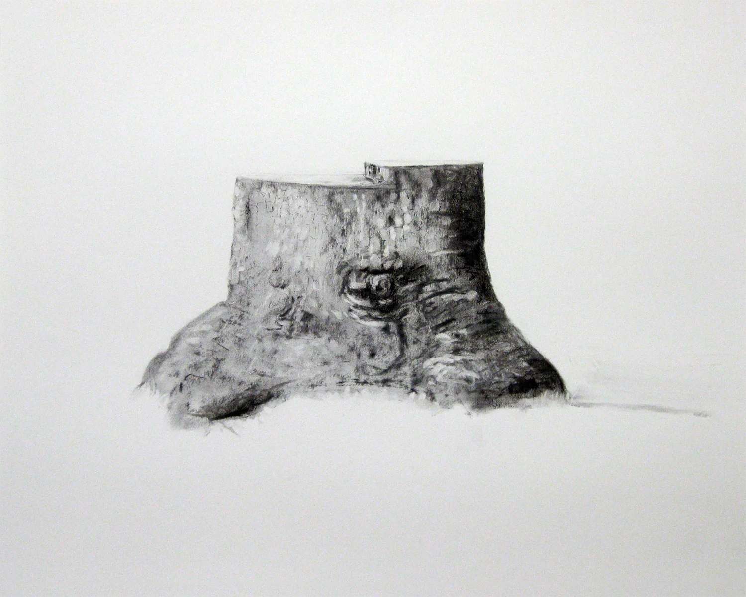 stump2.jpg