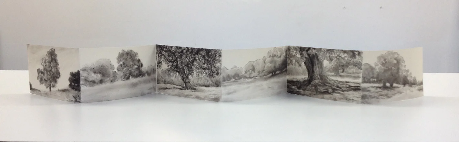 love letter, Charcoal and graphite on accordion fold paper, 6 x 66+