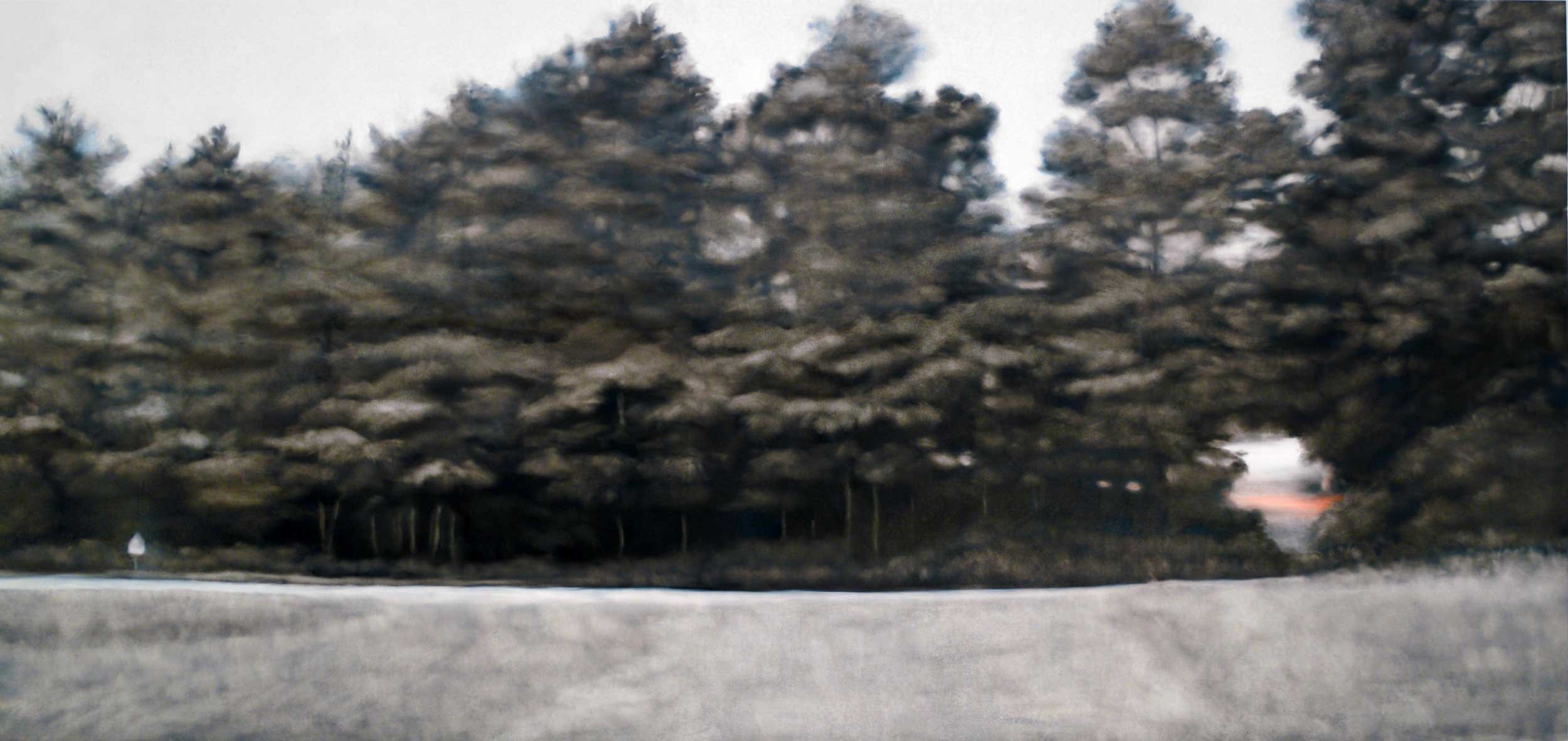 Pastoral, Oil on paper, 34 x 67”