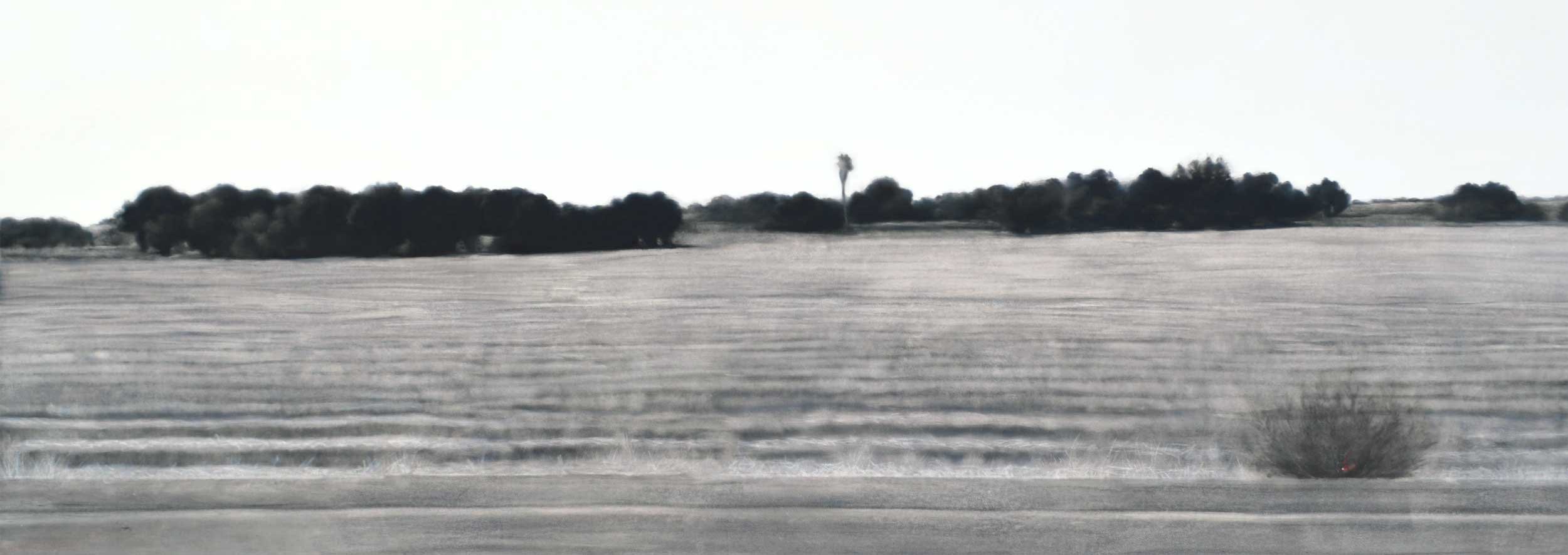 Spark, Oil on paper, 25 x 67”