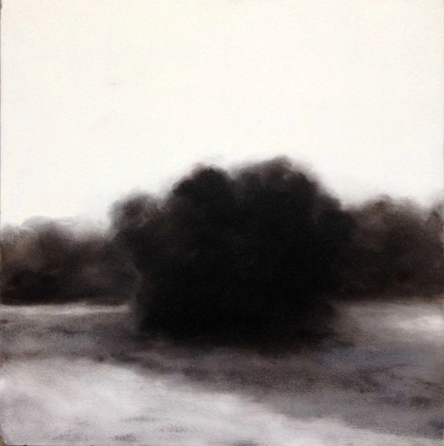 Shrub, Oil on panel, 8 x 8
