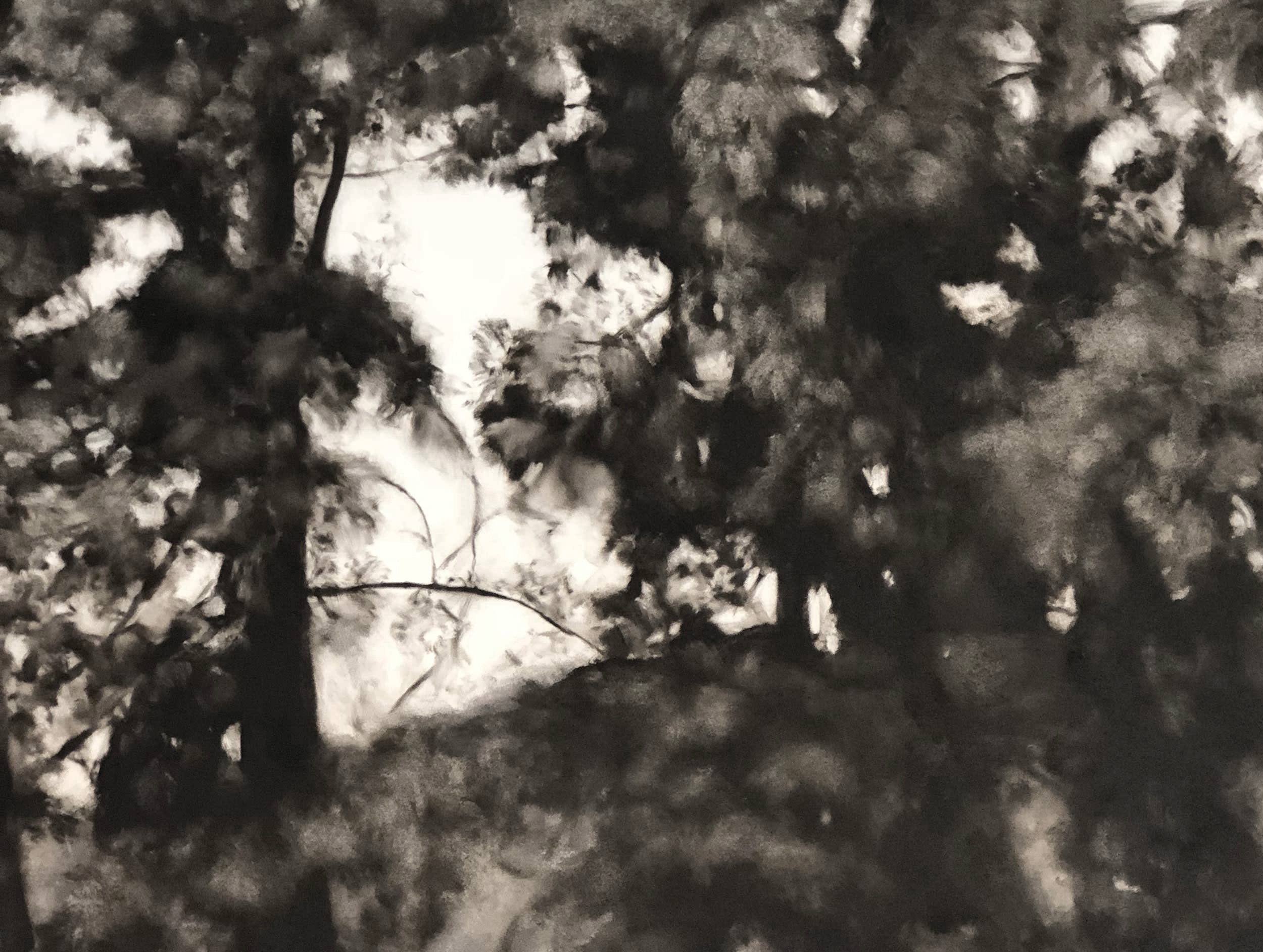 Untitled (arroyo seco) Oil on paper, 32 x 64” (detail)