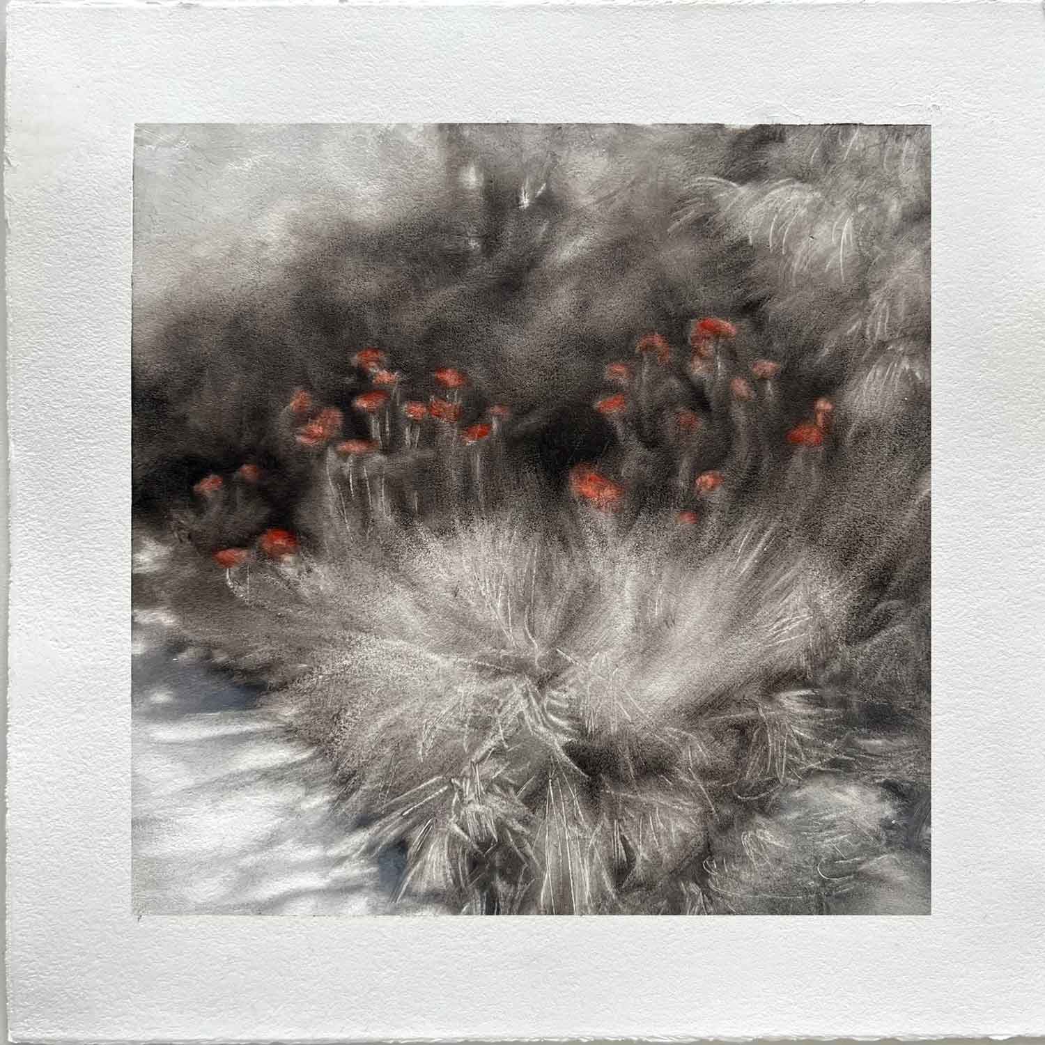 Petra's flowers 1, Oil on paper, 8 x 8”