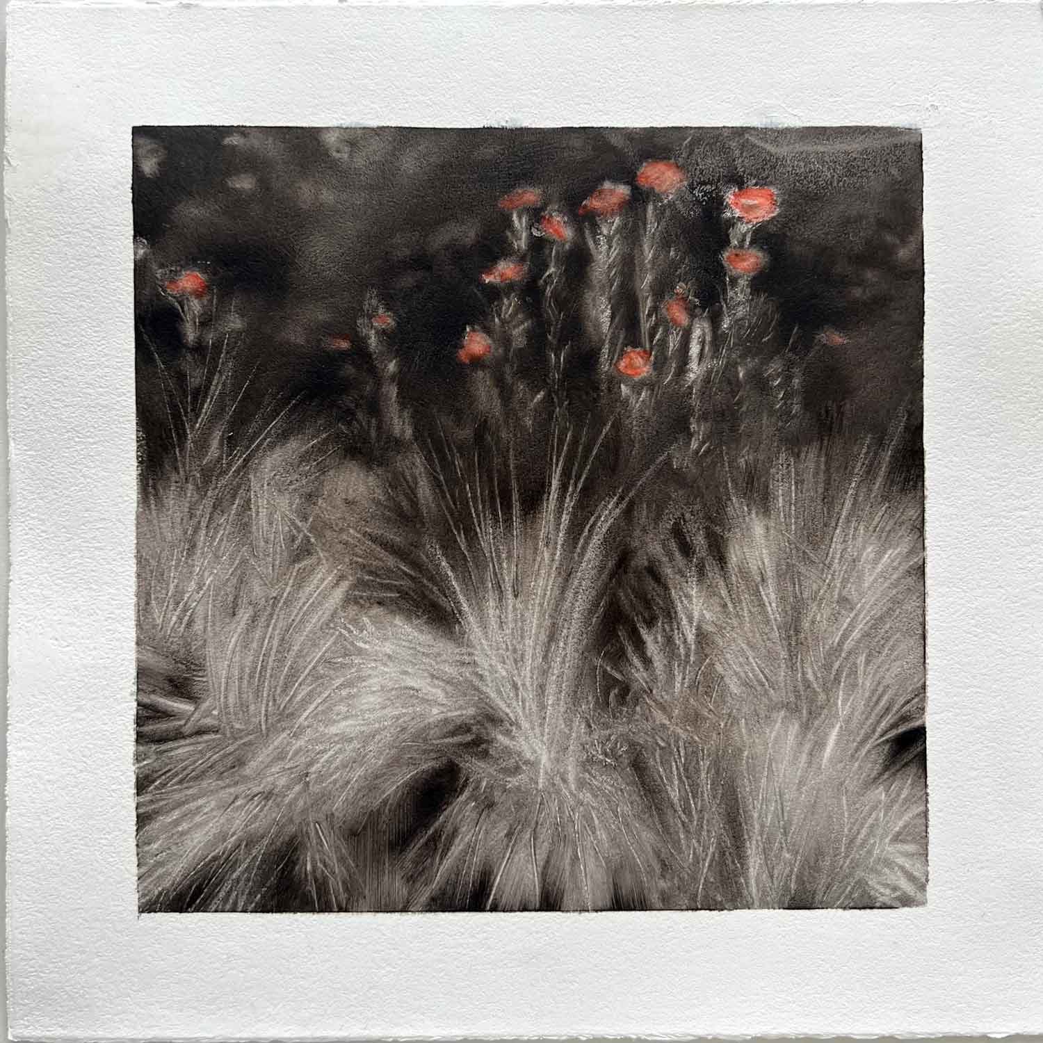 Petra's flowers 2, Oil on paper, 8 x 8”