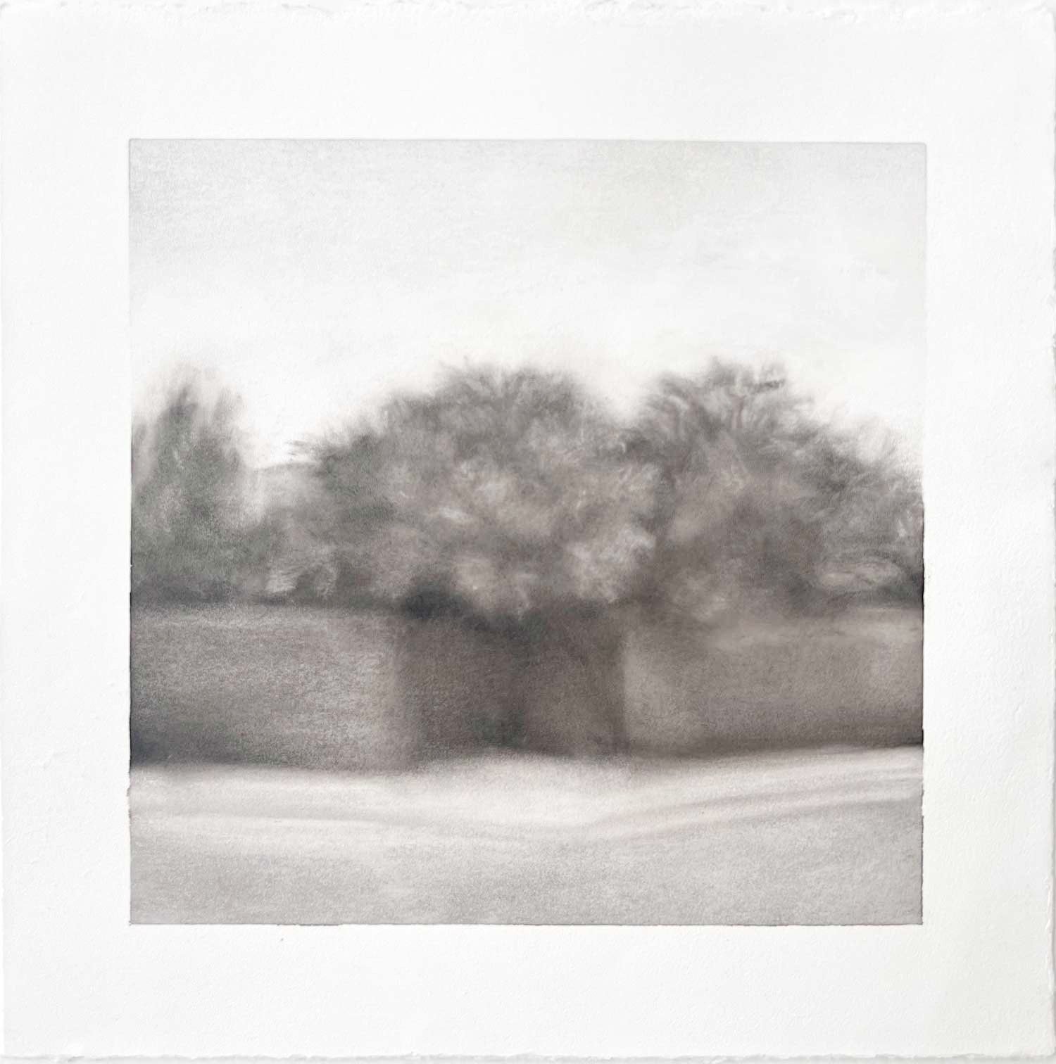 My favorite corner, Oil on paper, 8 x 8"