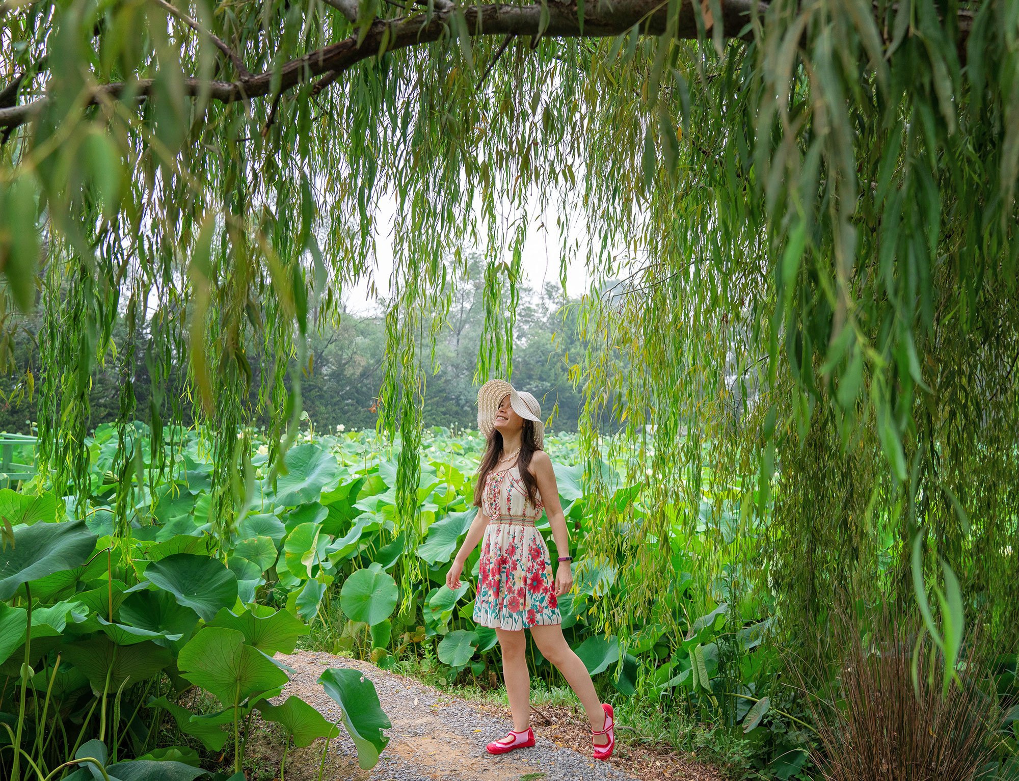Artist Thaneeya McArdle at Blue Lotus Water Garden in Yarra Valley, Victoria, Australia