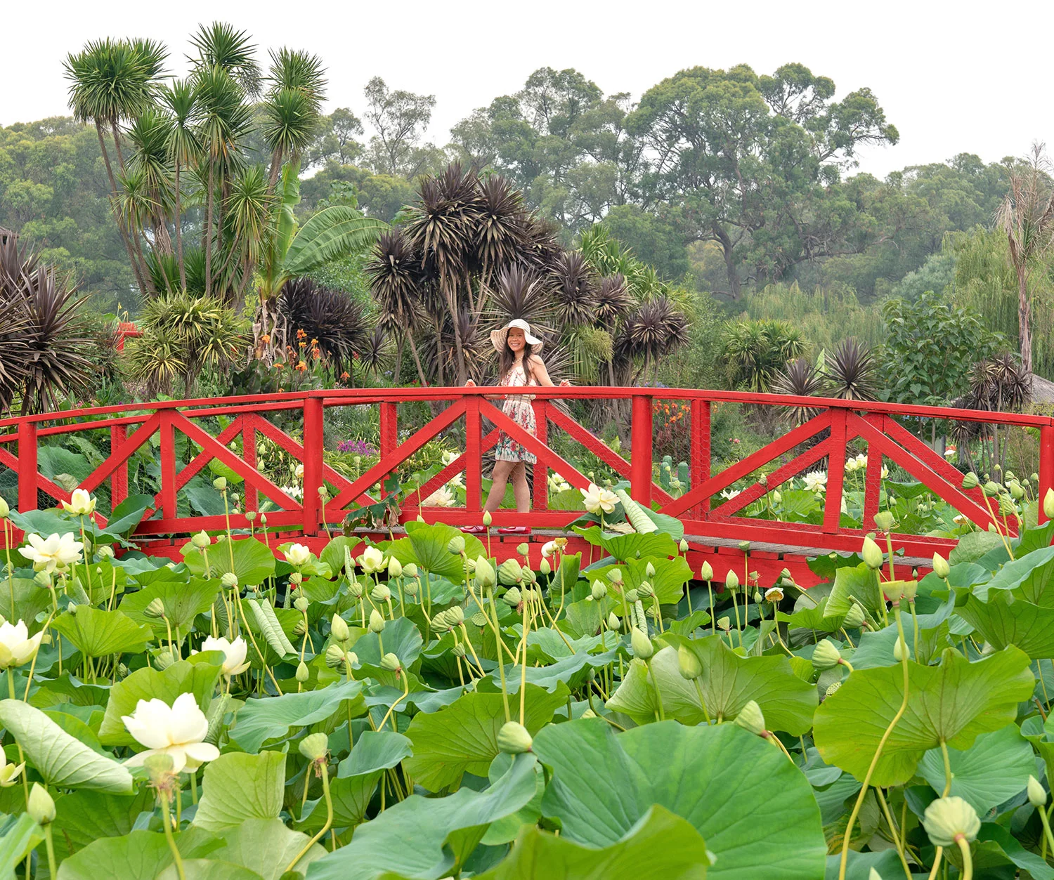 Artist Thaneeya McArdle at Blue Lotus Water Garden in Yarra Valley, Victoria, Australia