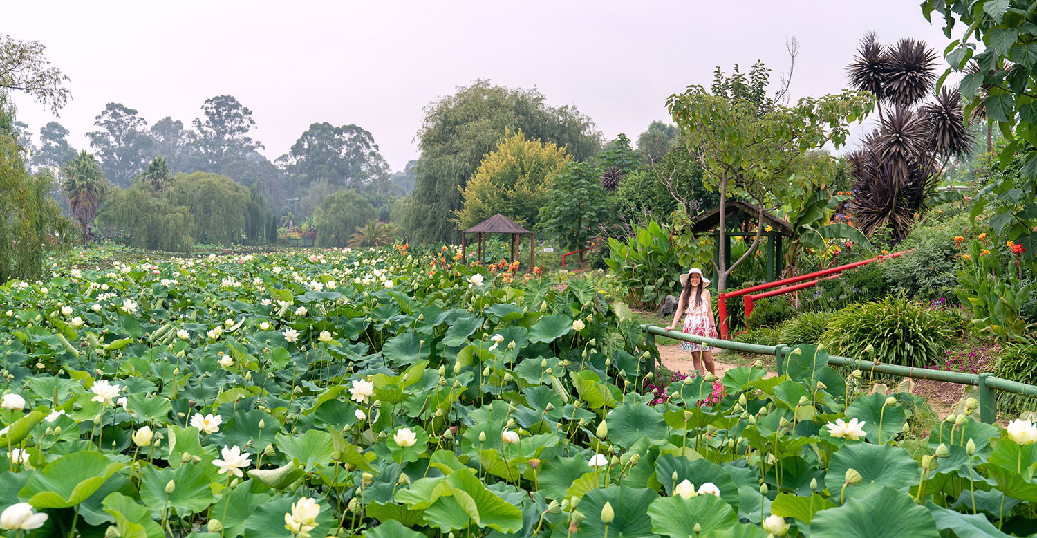 Artist Thaneeya McArdle at Blue Lotus Water Garden in Yarra Valley, Victoria, Australia