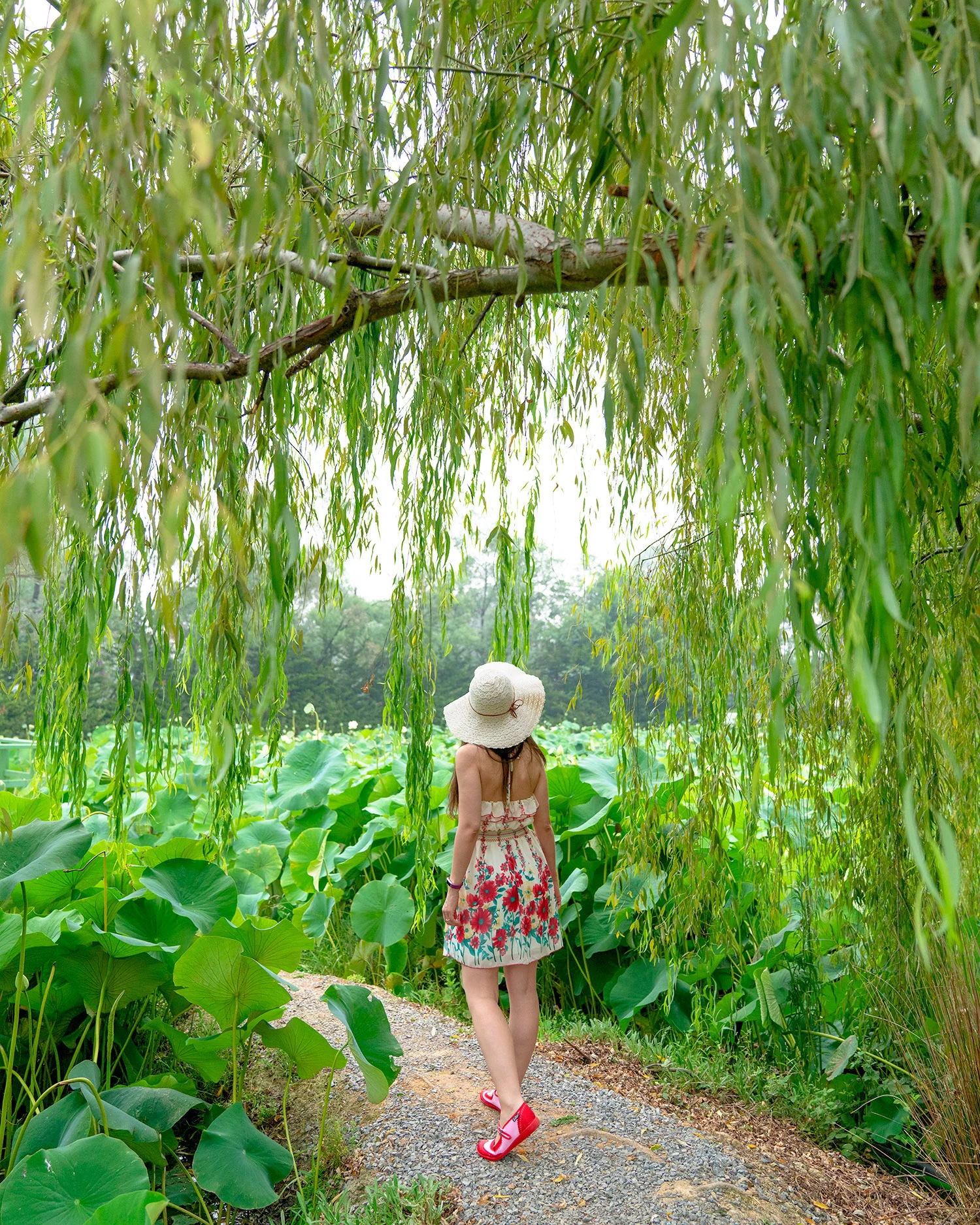 Artist Thaneeya McArdle at Blue Lotus Water Garden in Yarra Valley, Victoria, Australia