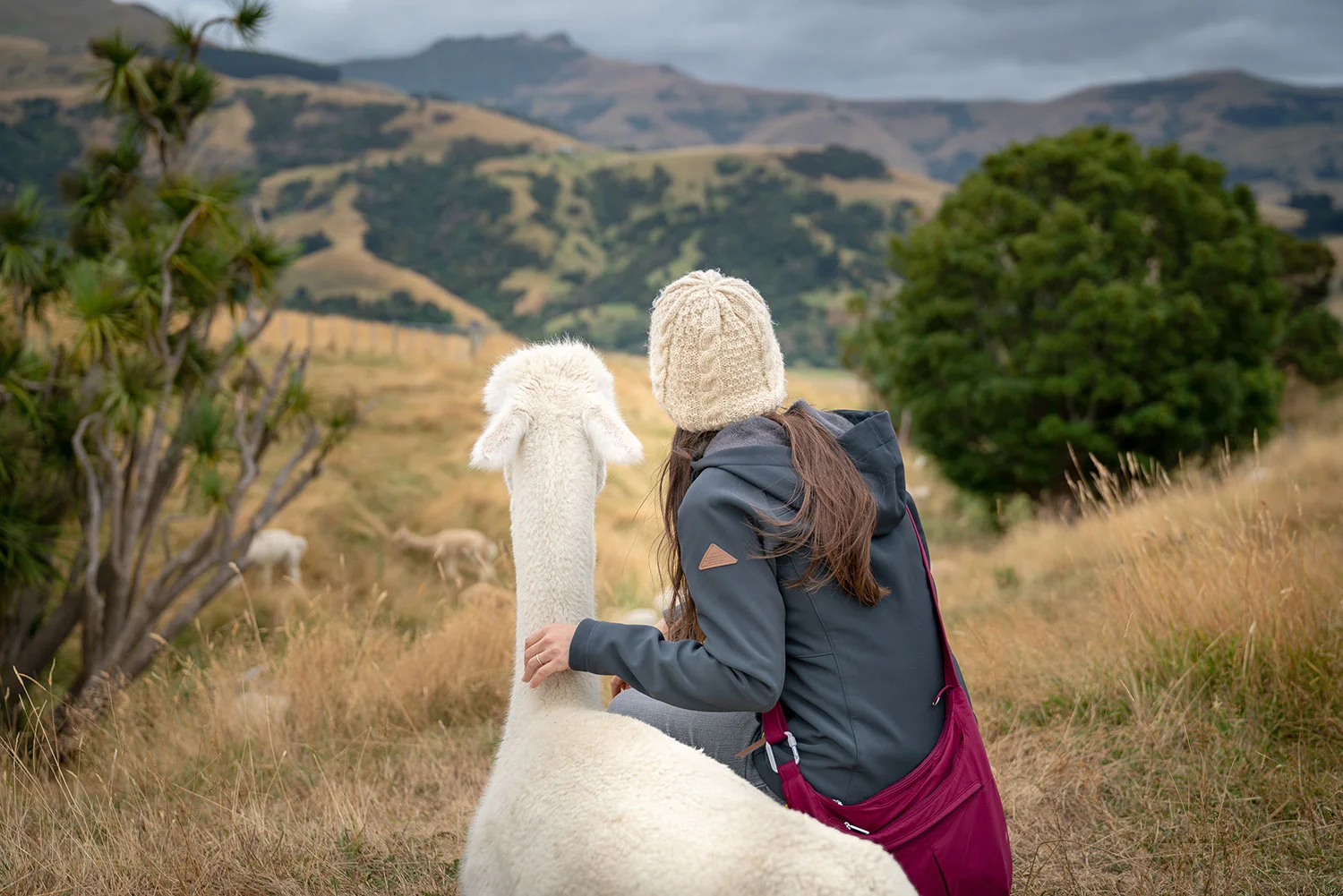 Thaneeya McArdle with an alpaca at Shamarra Alpaca Farm in Akaroa, New Zealand