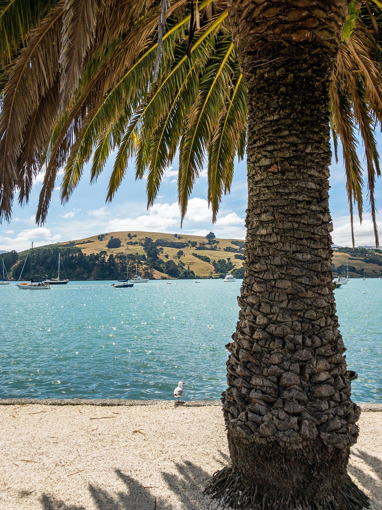 Akaroa, New Zealand