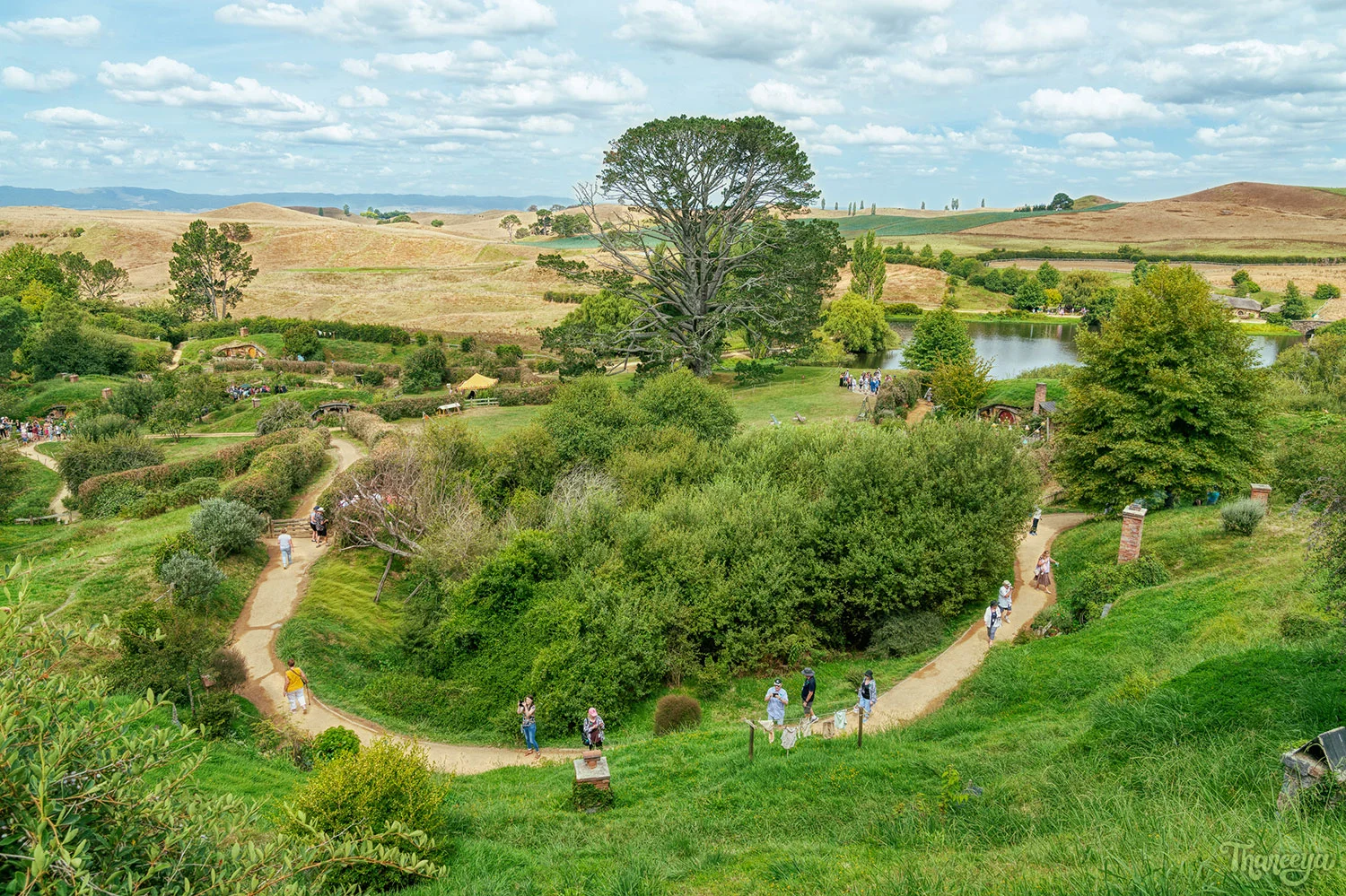Hobbiton photo by Thaneeya McArdle