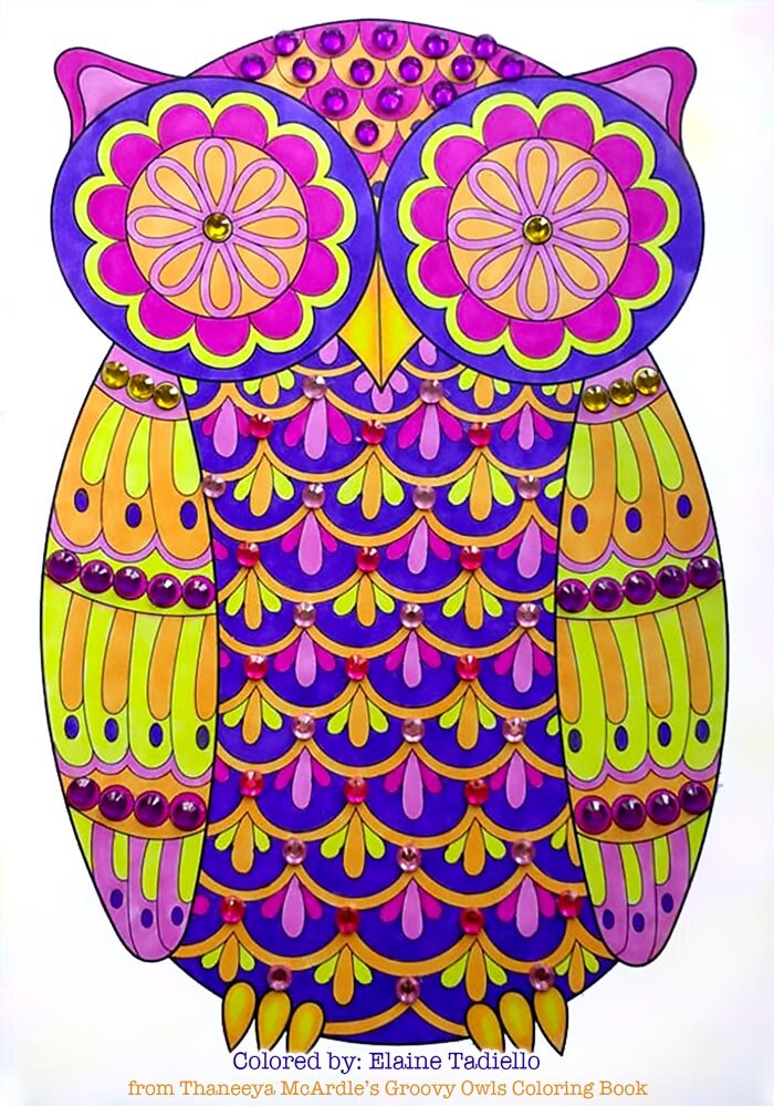 Coloring is Fun Groovy Owls Coloring Book 