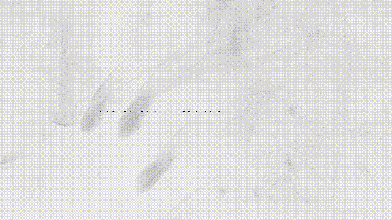 Landing Page (1).gif