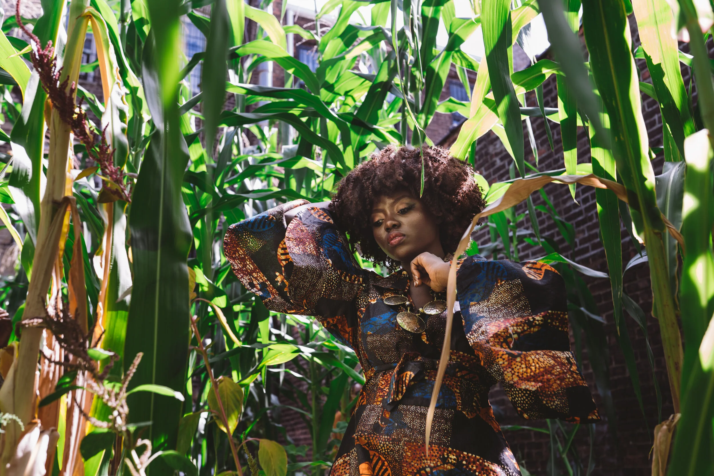 AN Look 2-206757.jpg