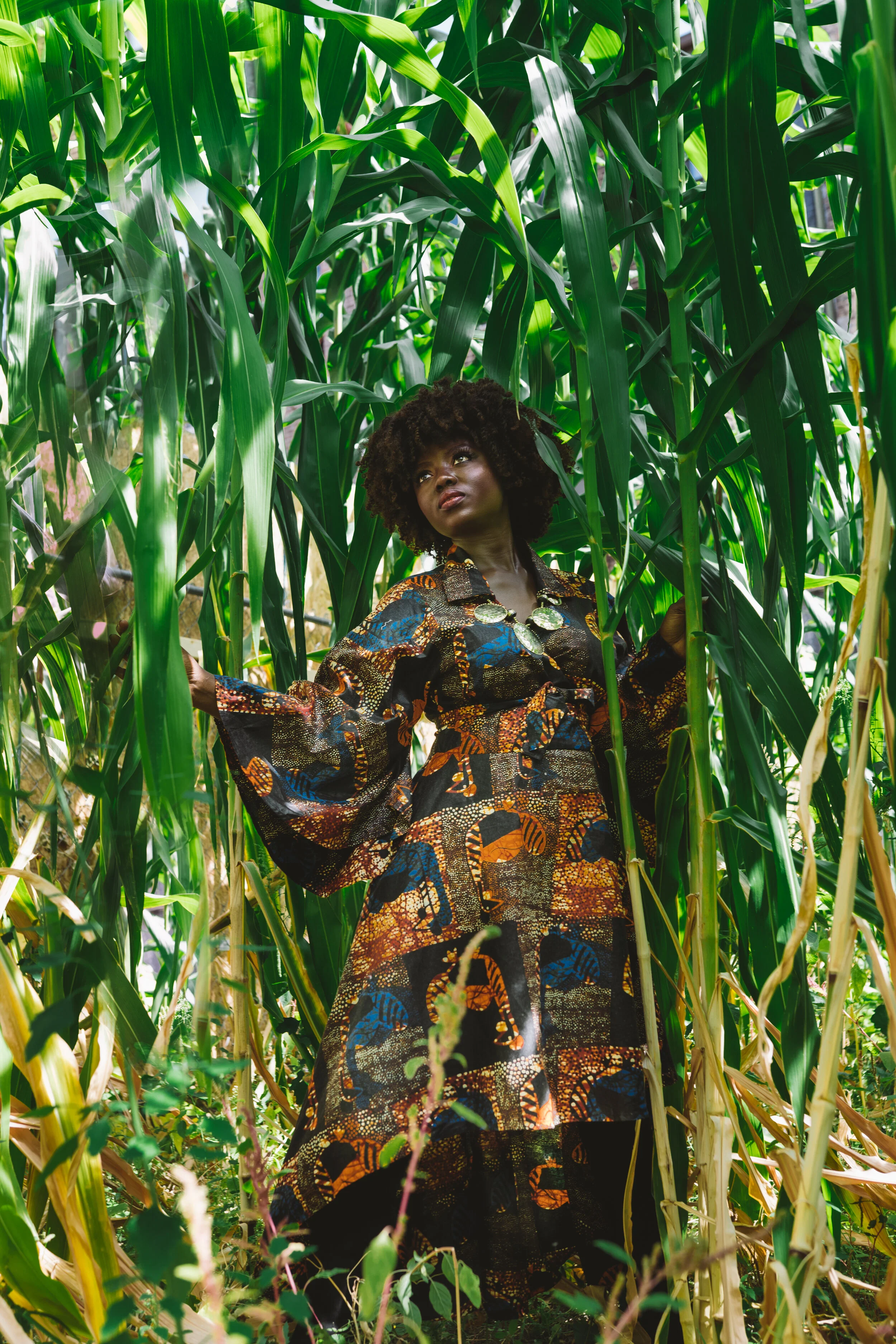 AN Look 2-206807.jpg