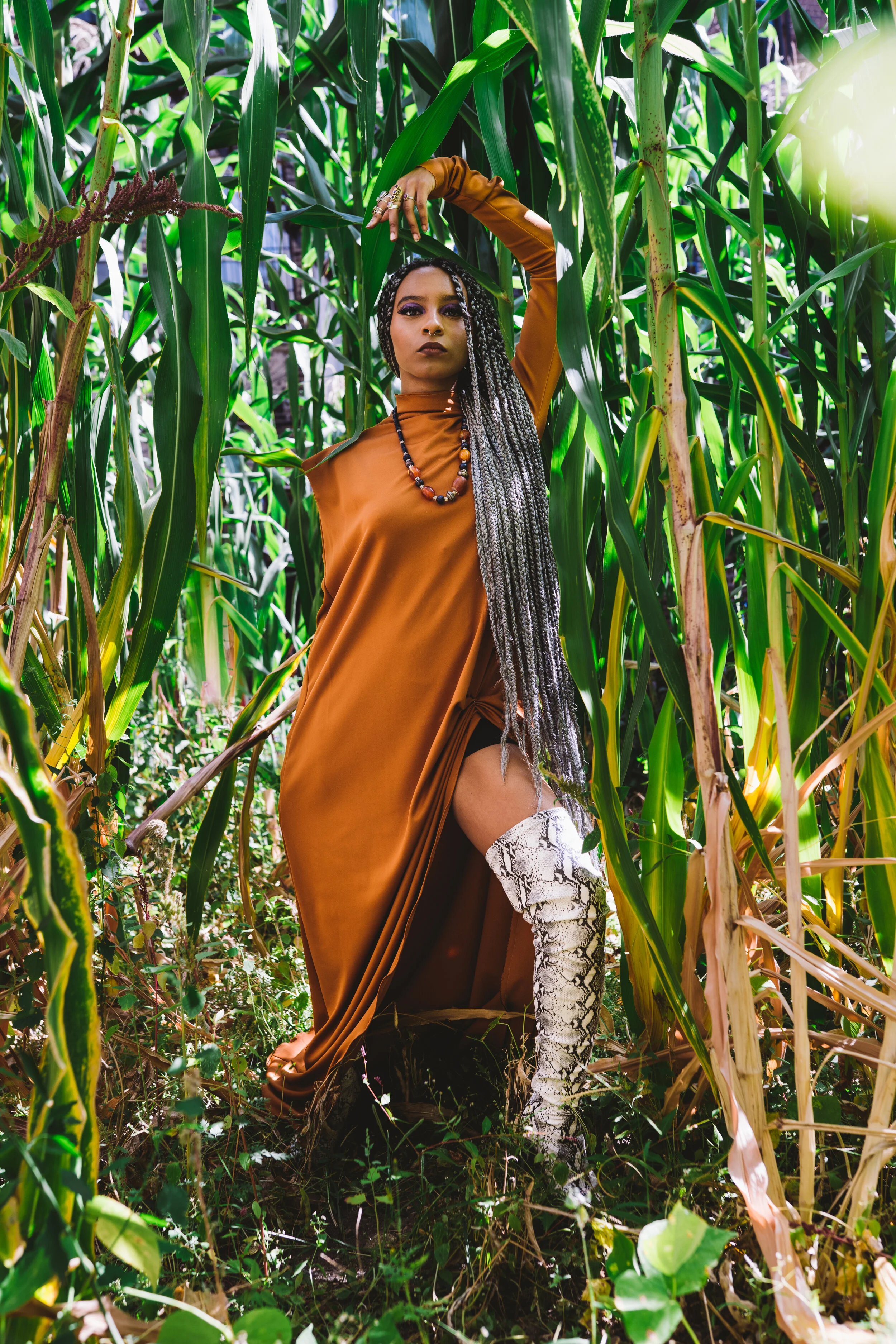 AN Look 3-206881.jpg