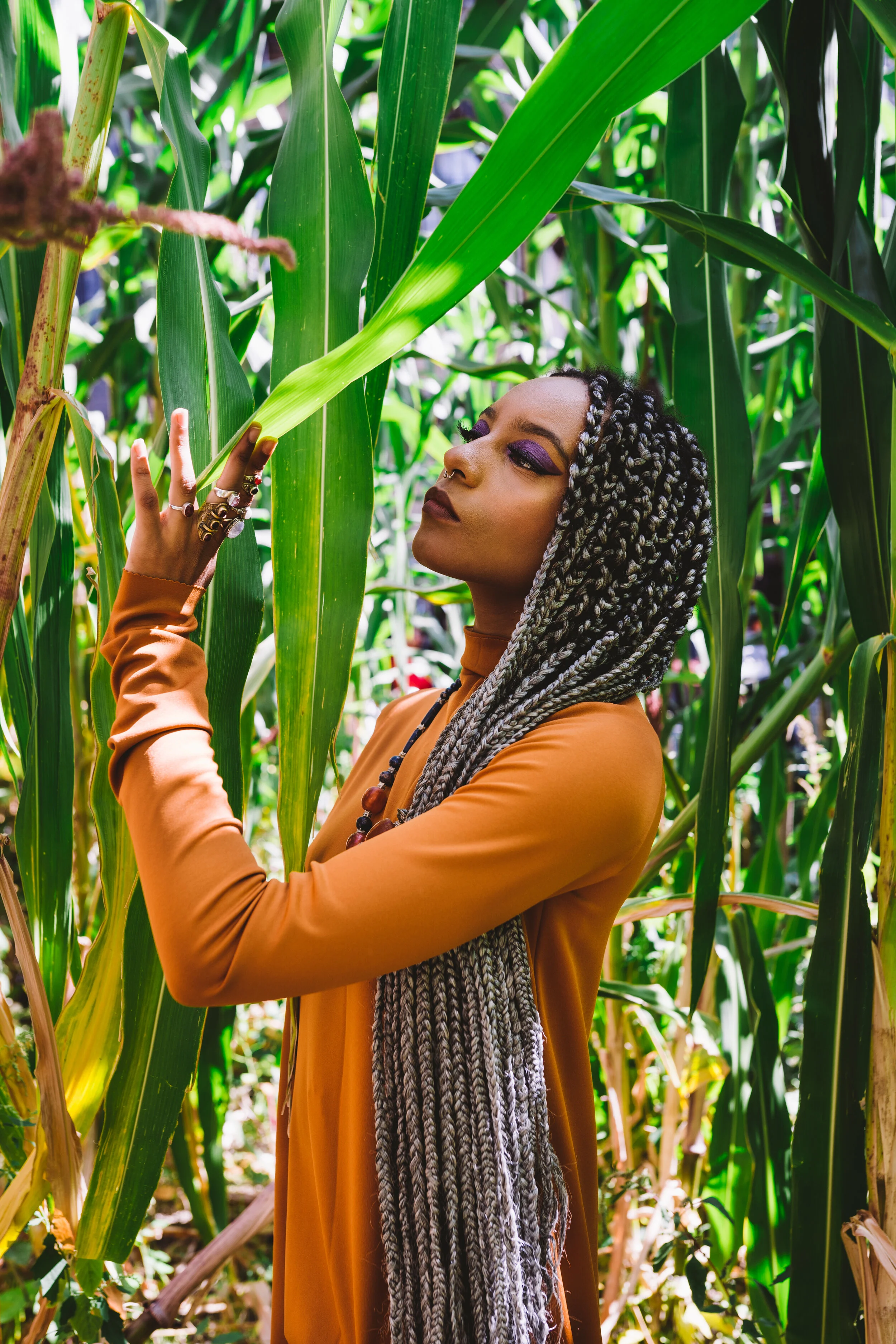 AN Look 3-206937.jpg