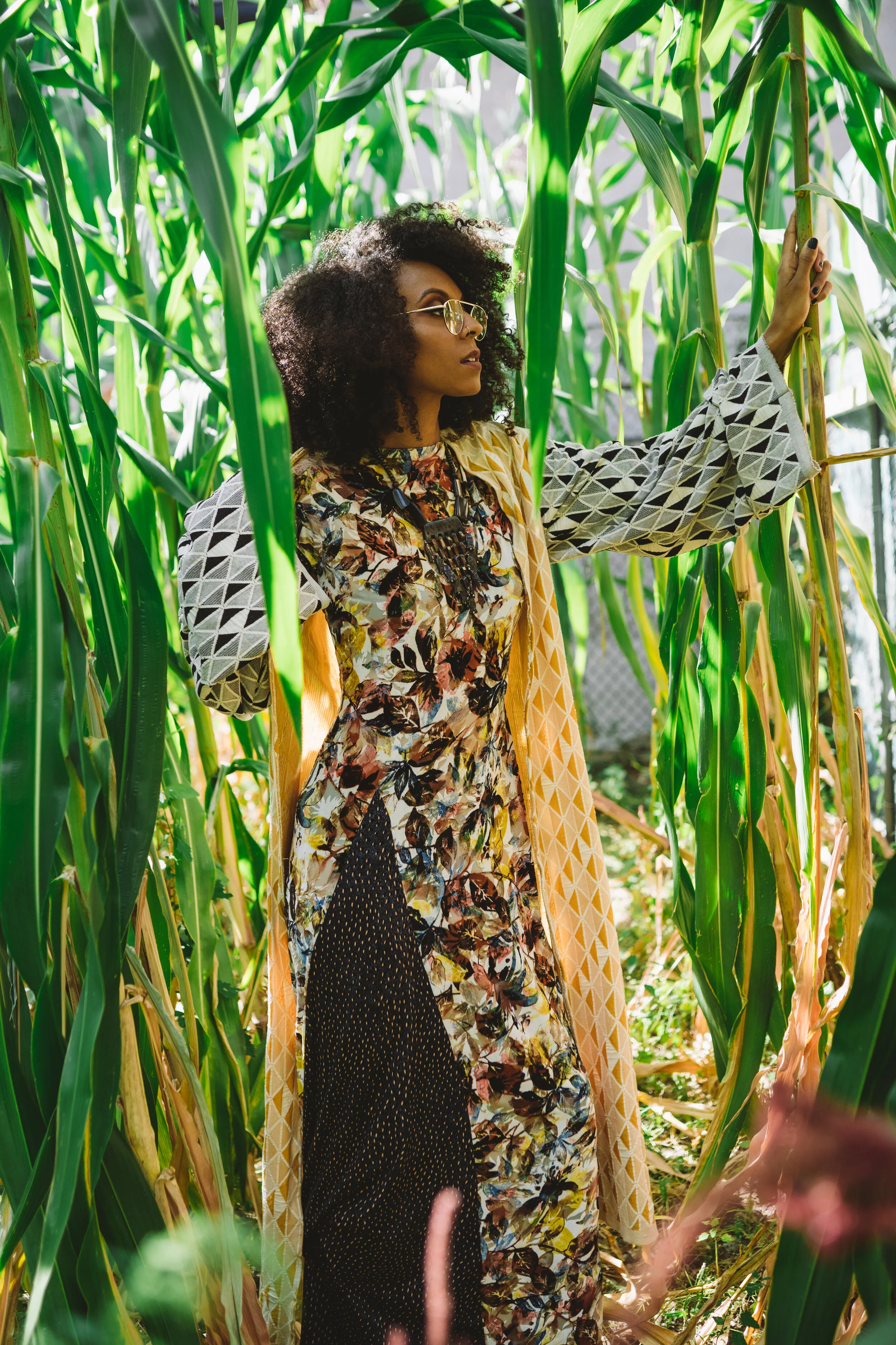 AN Look 6-207539.jpg