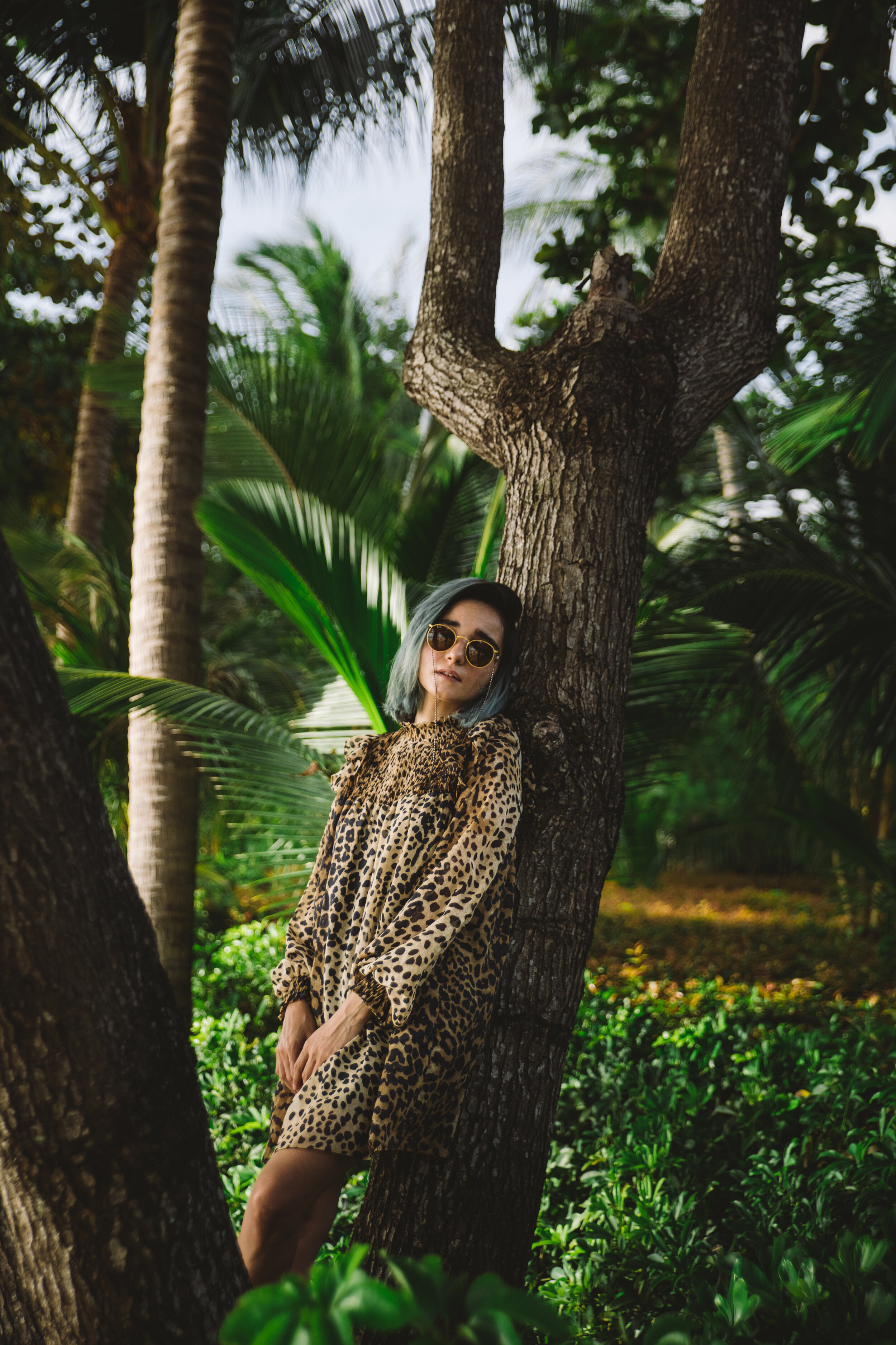 Kayaan Shiraz-205251.jpg
