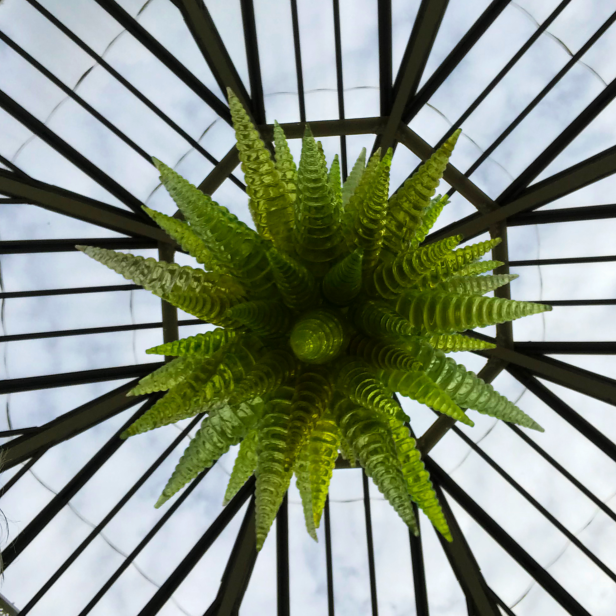 Dale Chihuly at Kew Gardens